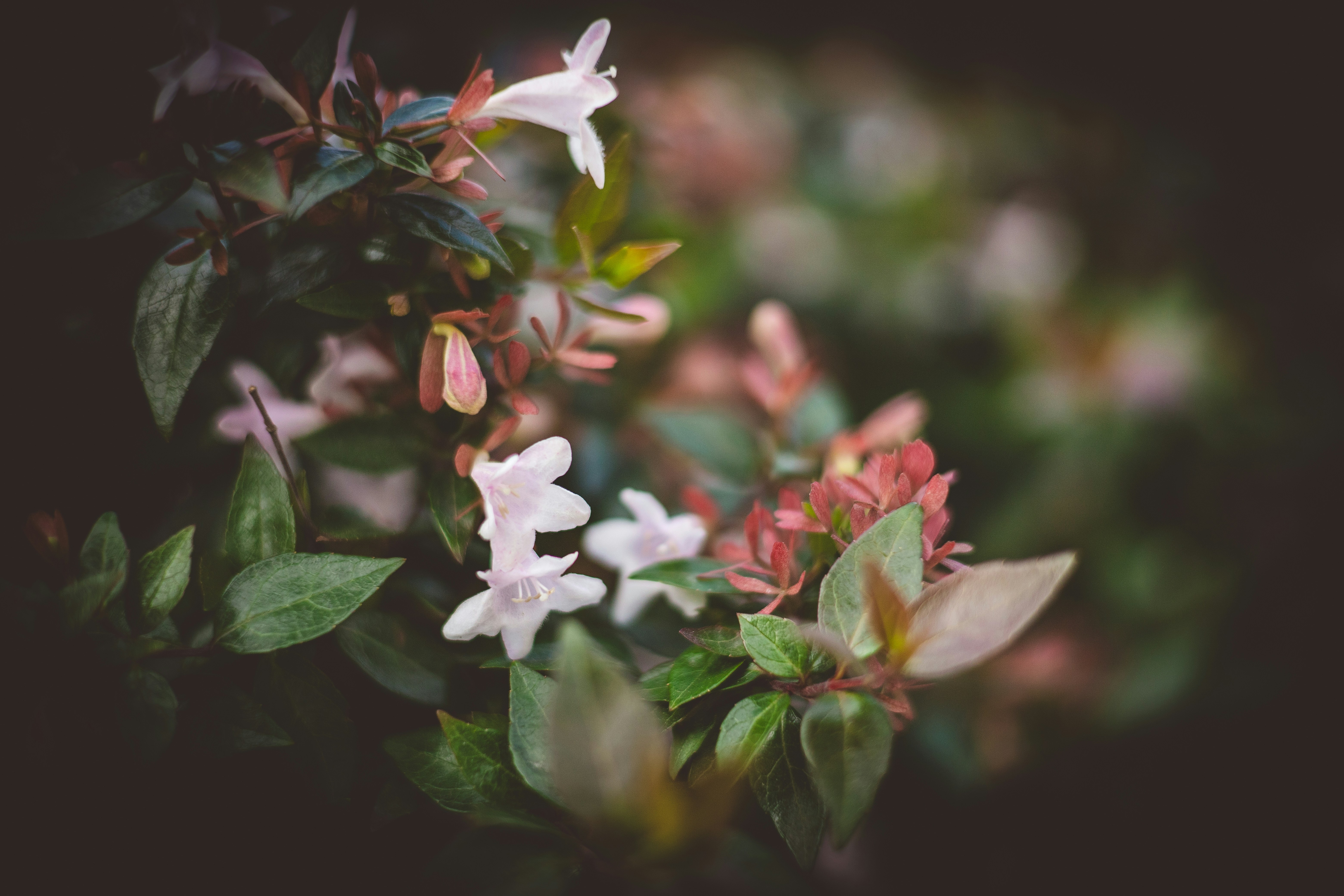 Photo by rrodriguesim
