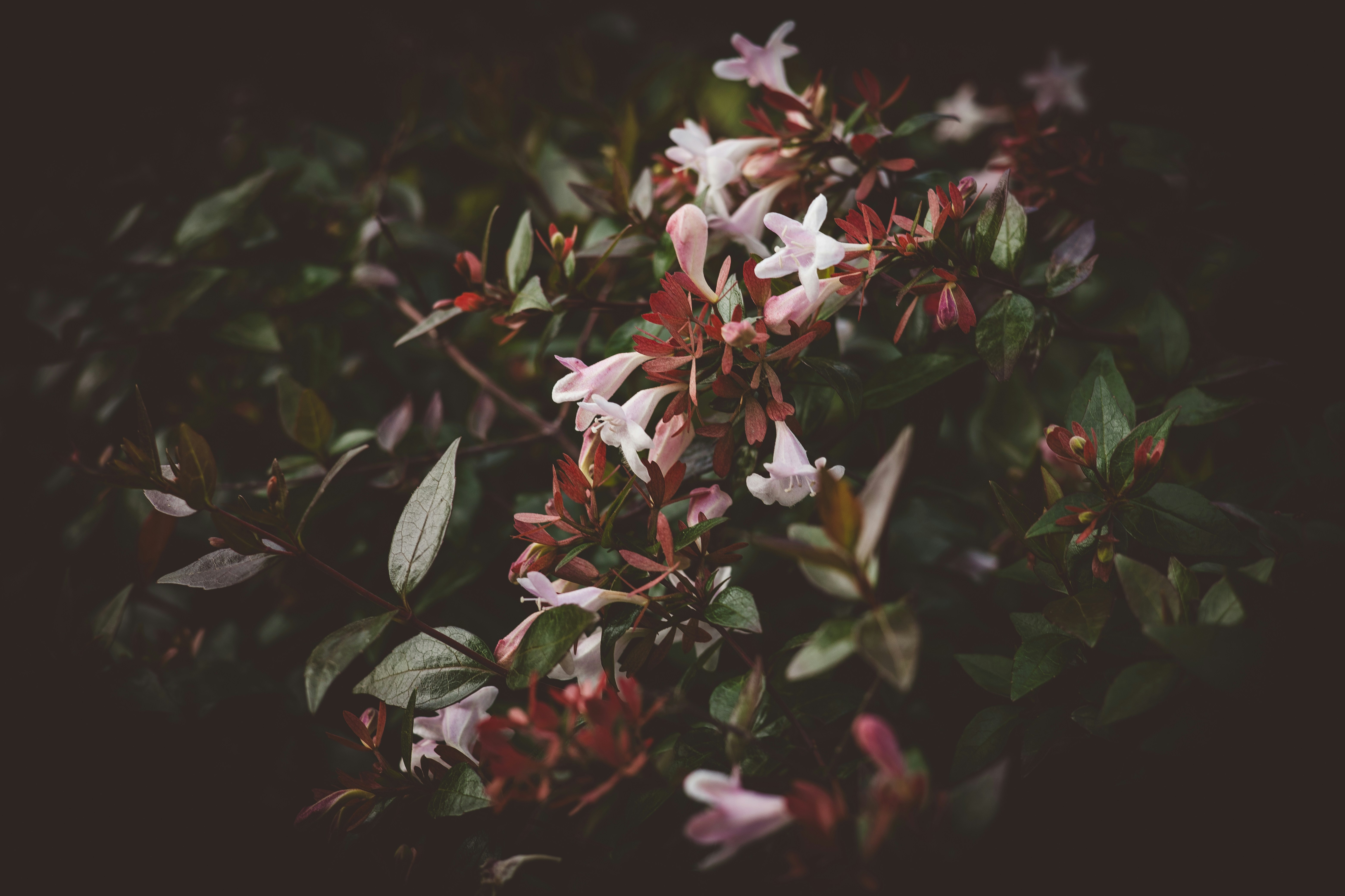 Photo by rrodriguesim