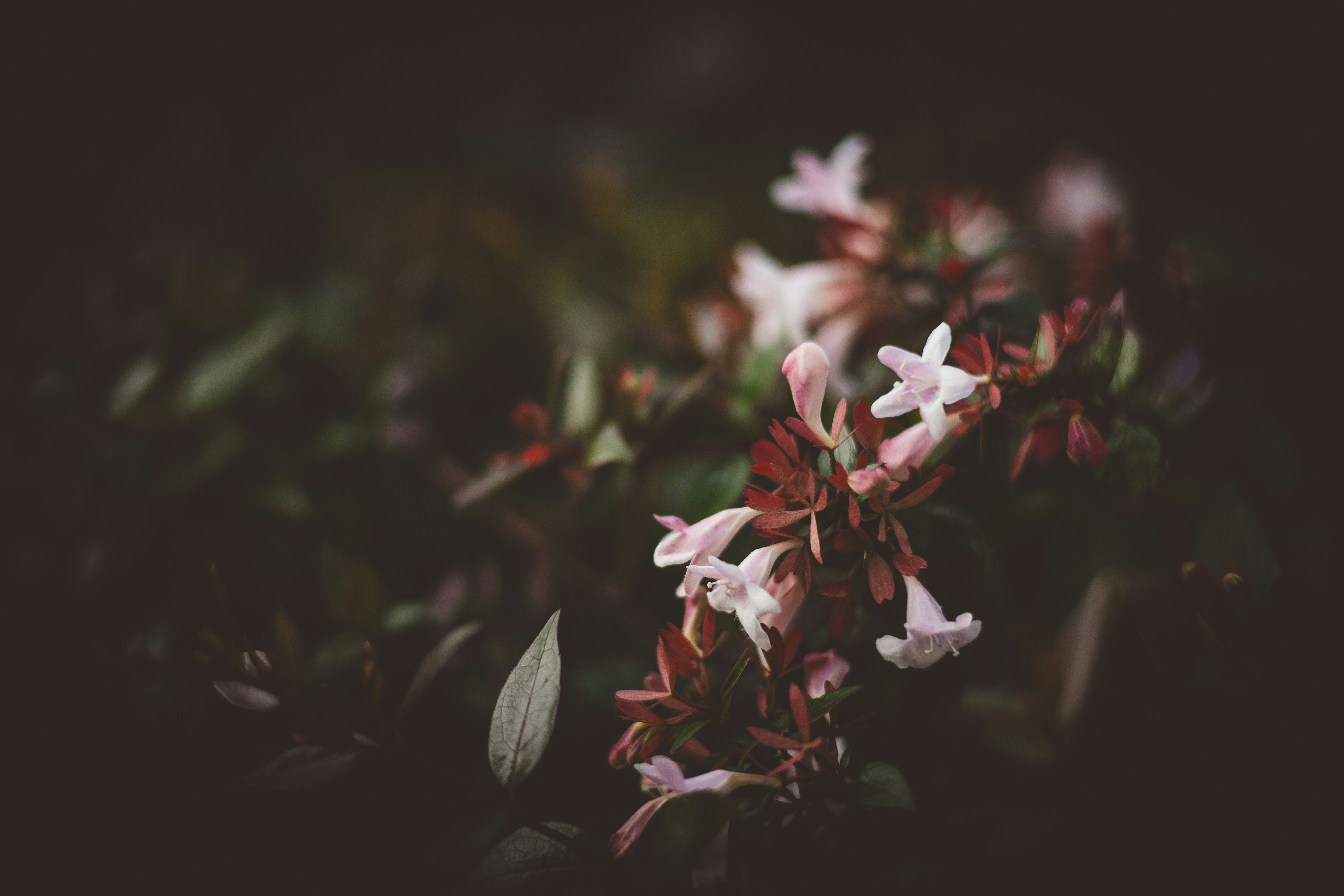 Photo by rrodriguesim