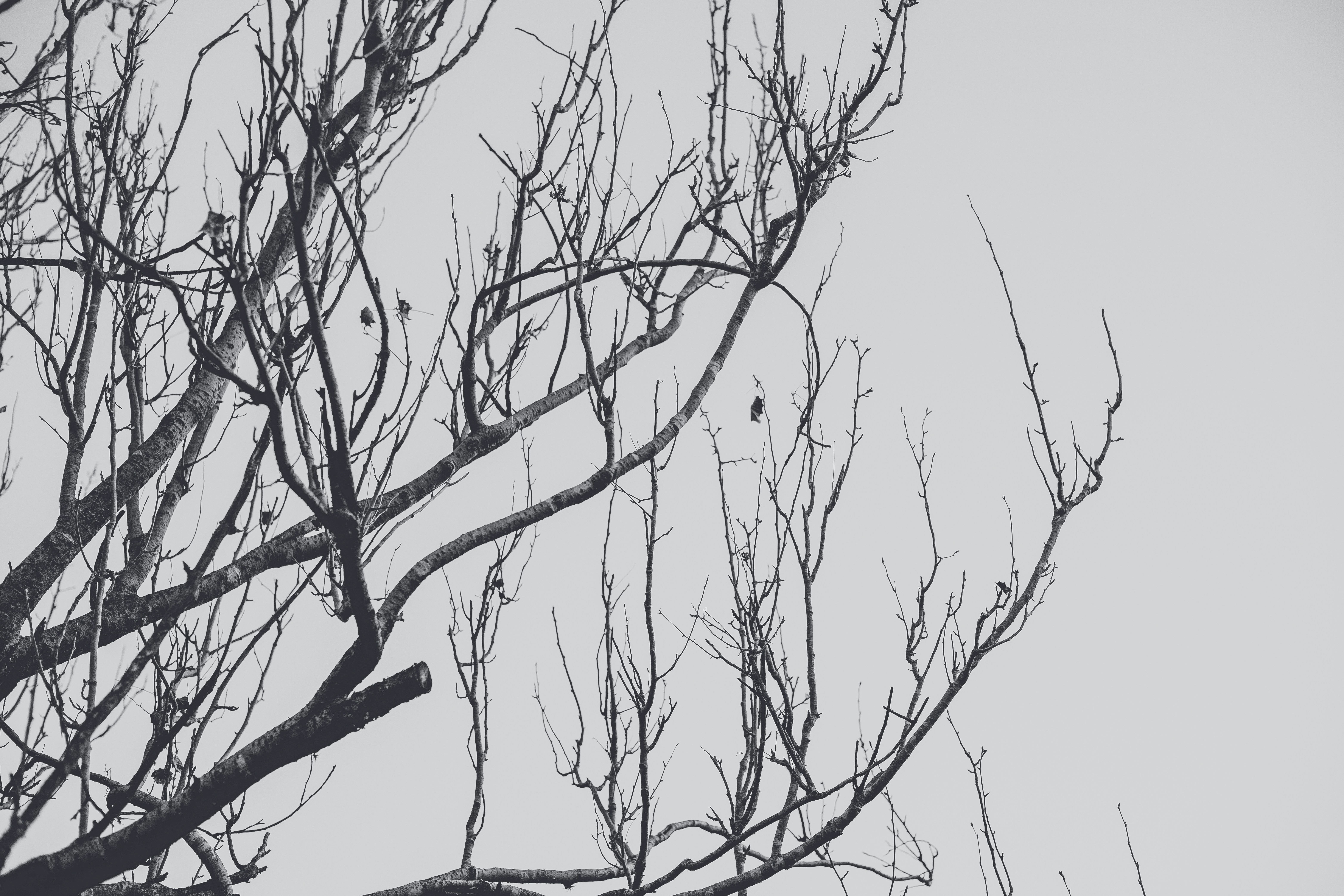 Photo by rrodriguesim