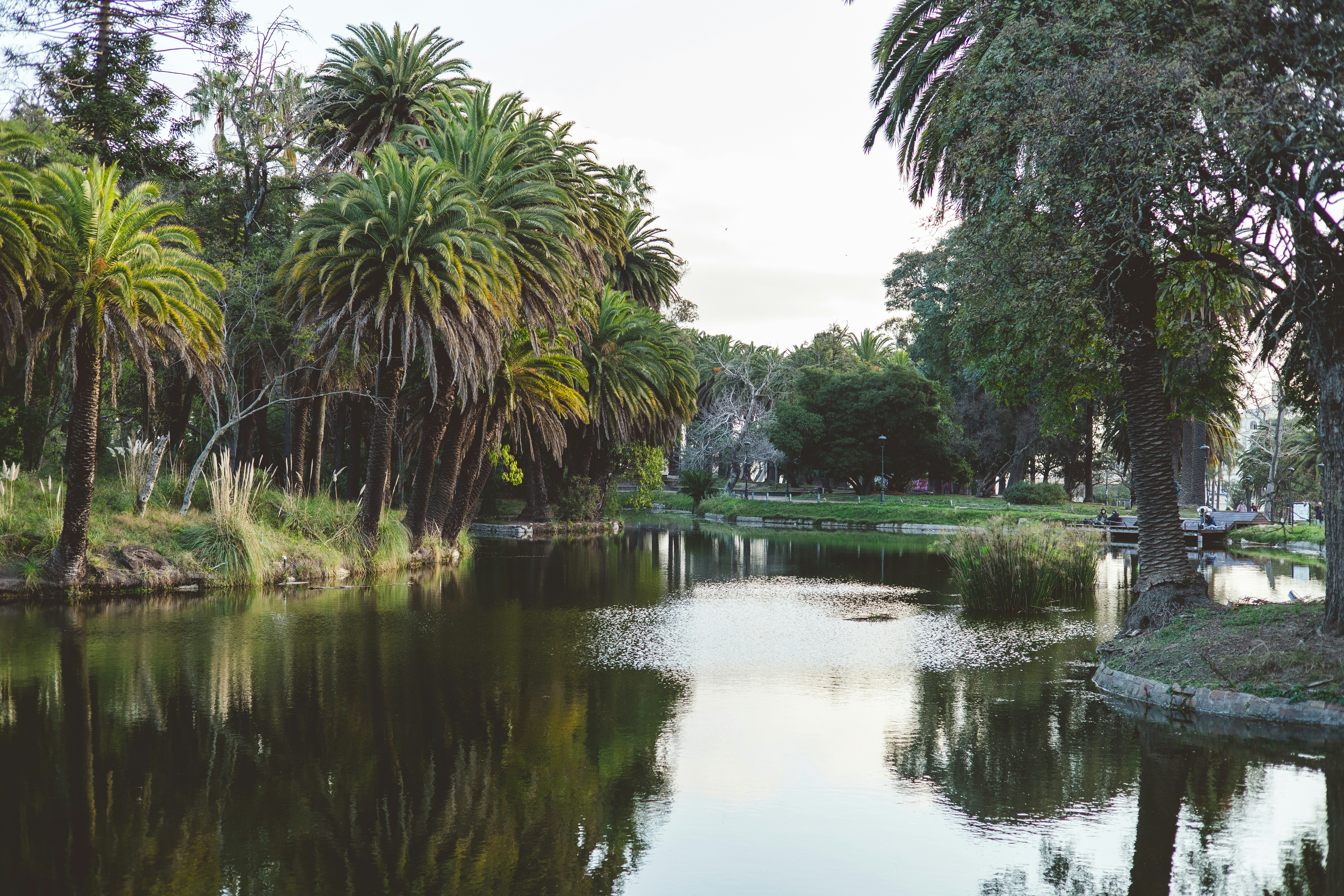 Photo by rrodriguesim