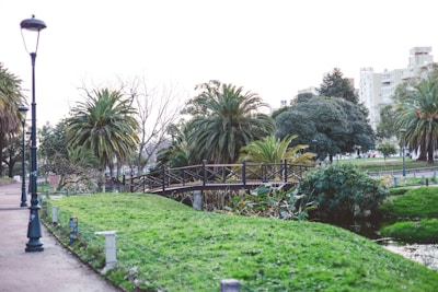 A scenic park scene displaying a wooden footbridge over a small stream, surrounded by lush green grass and tall palm trees. Pathways lit by ornate lampposts line the park, and in the background, there are modern apartment buildings.