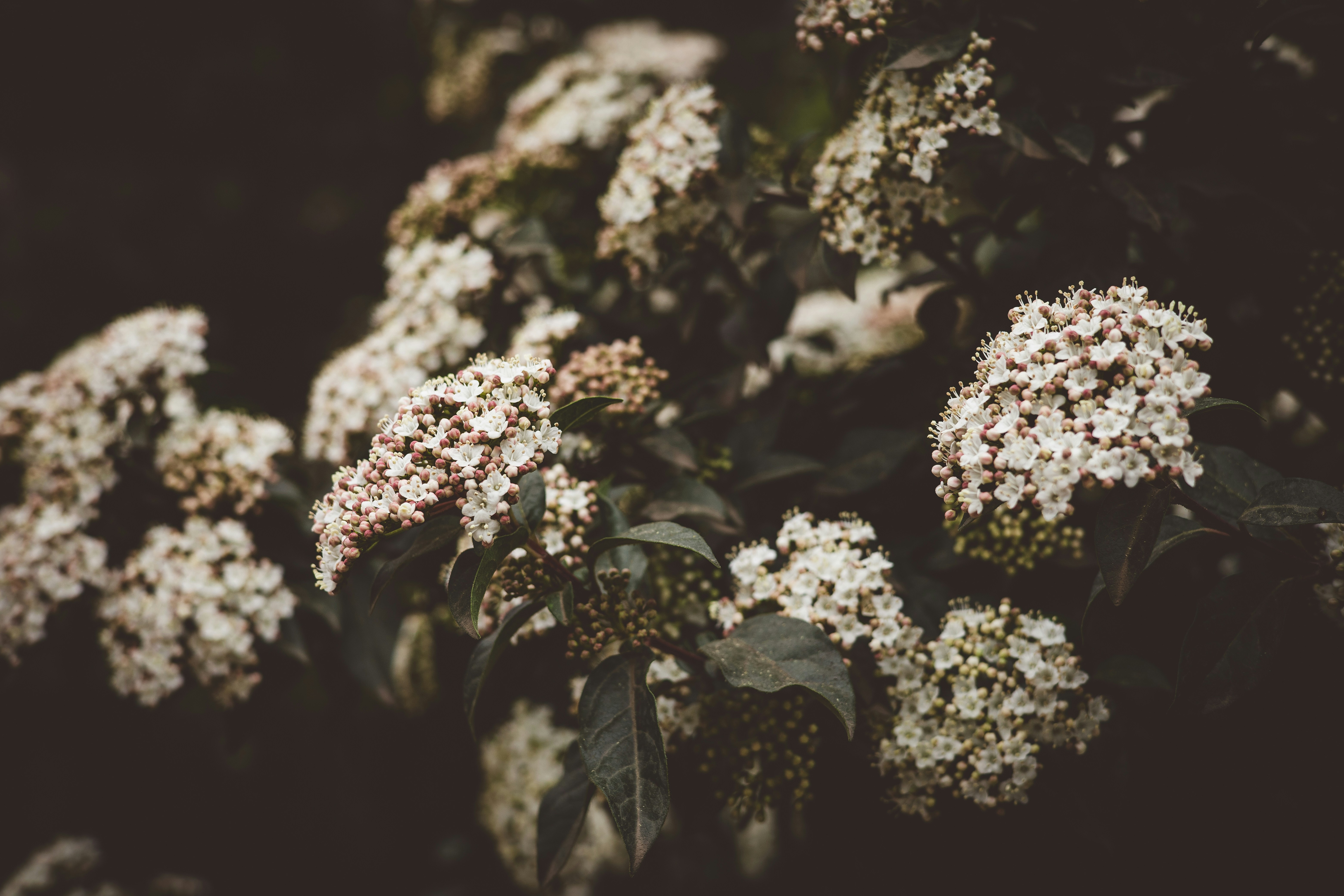 Photo by rrodriguesim