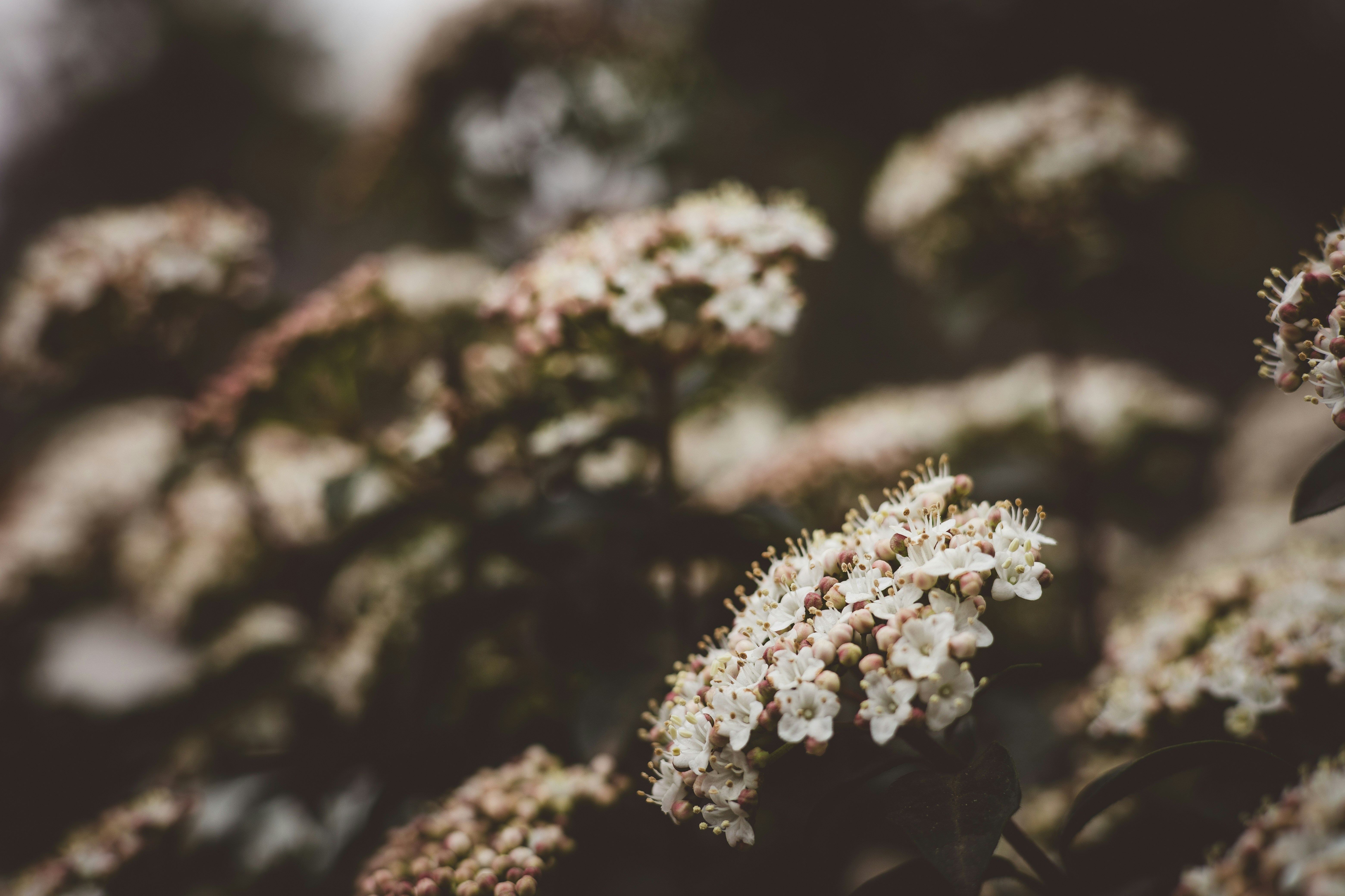 Photo by rrodriguesim