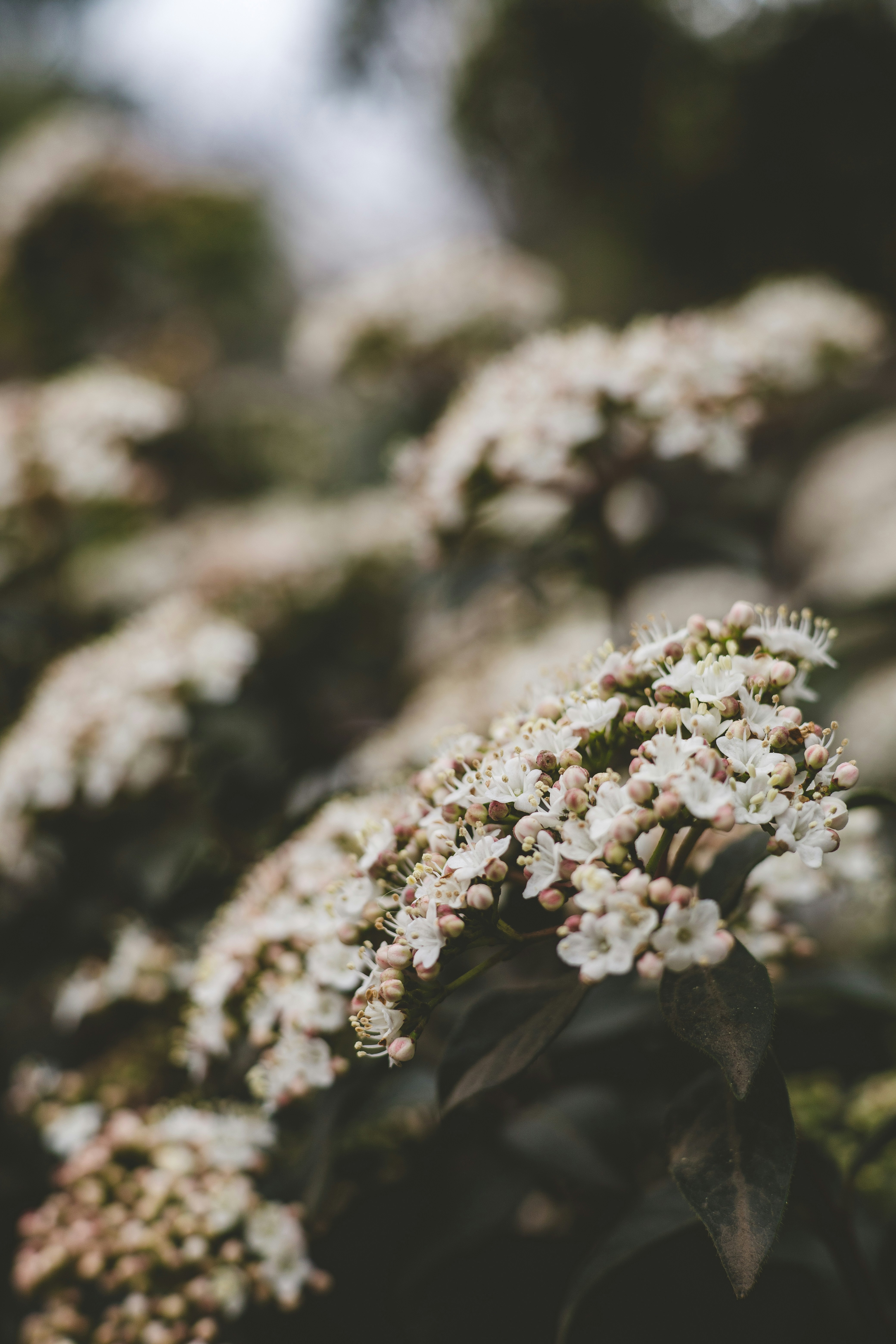 Photo by rrodriguesim