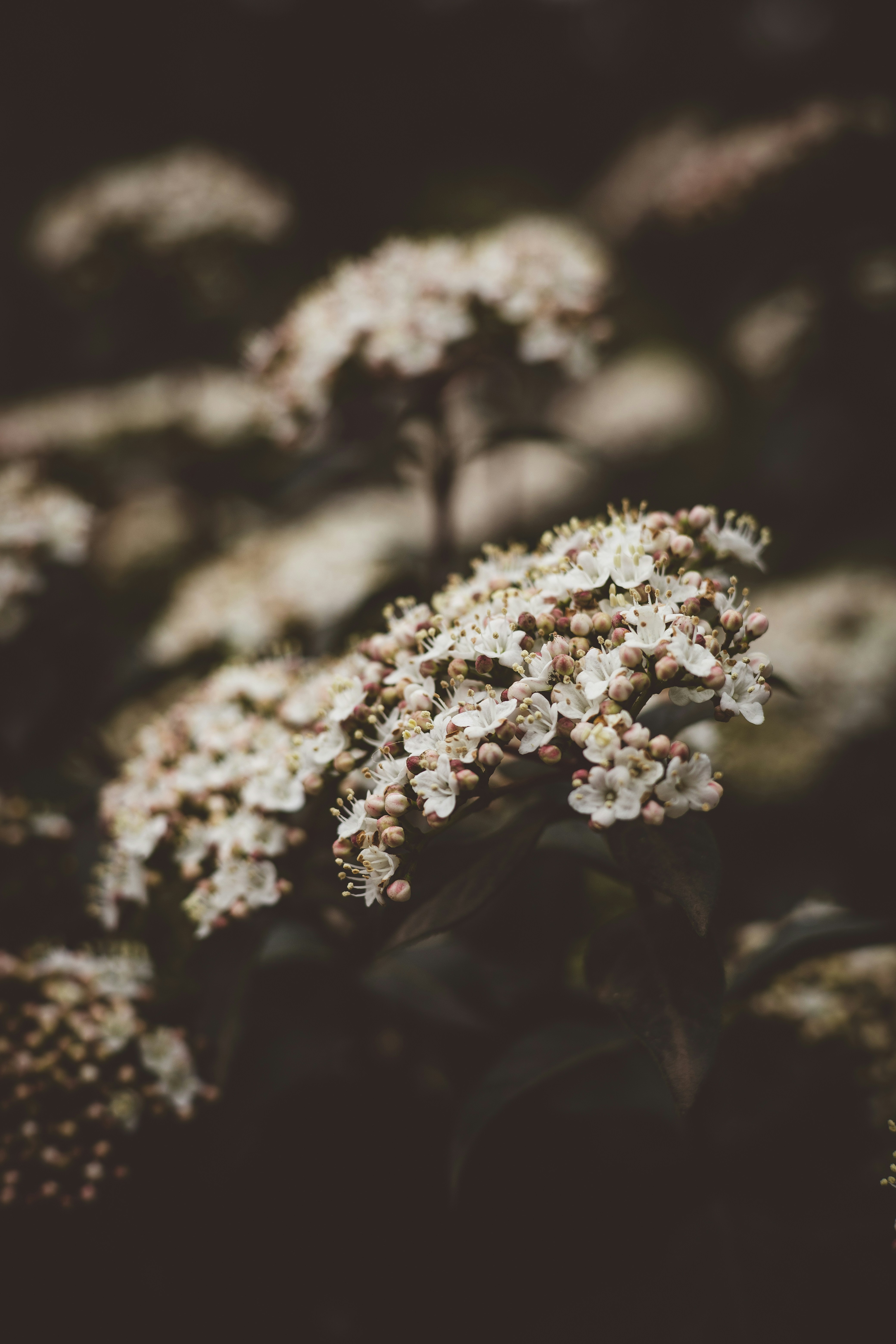 Photo by rrodriguesim