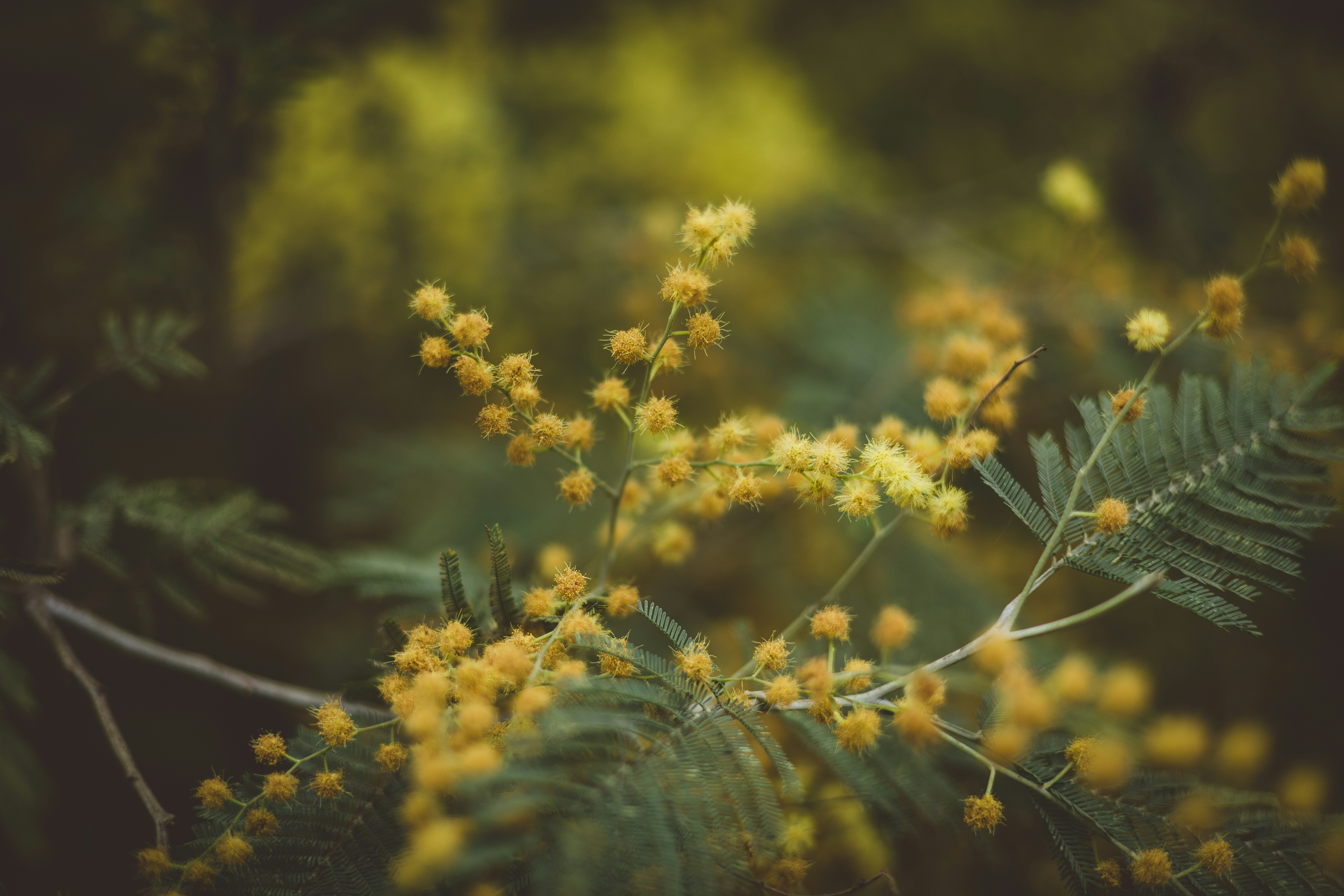 Photo by rrodriguesim