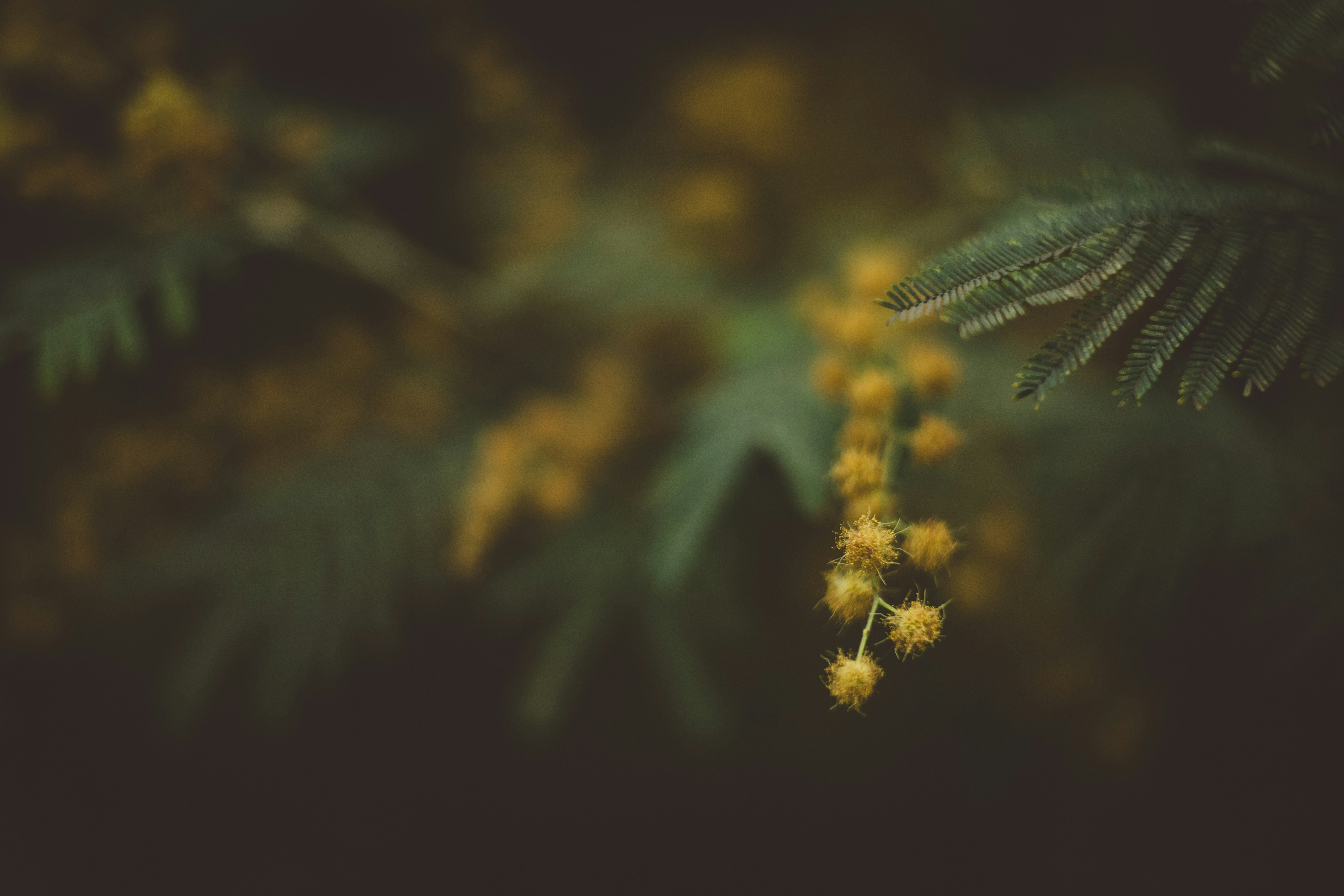 Photo by rrodriguesim