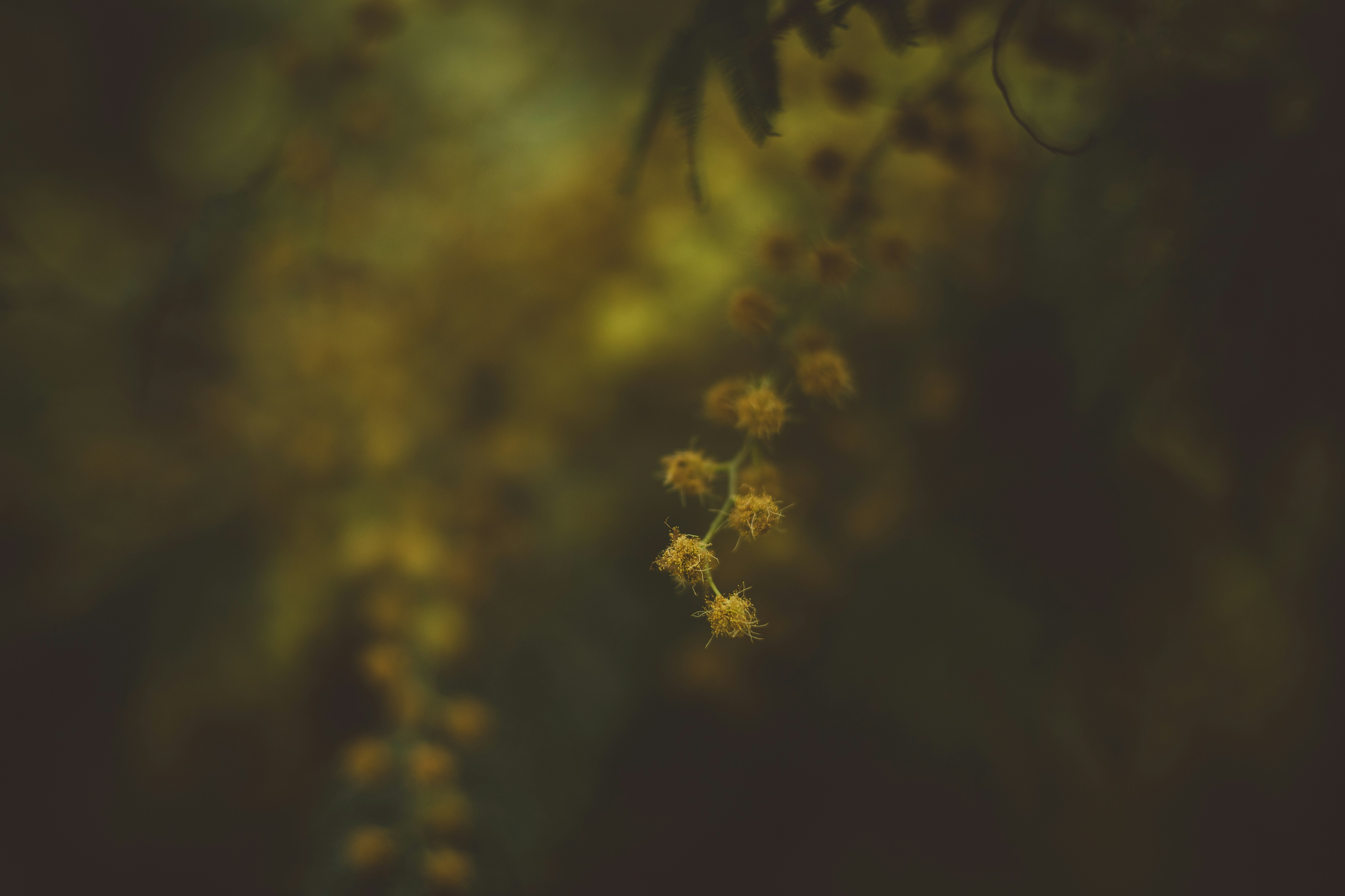 Photo by rrodriguesim