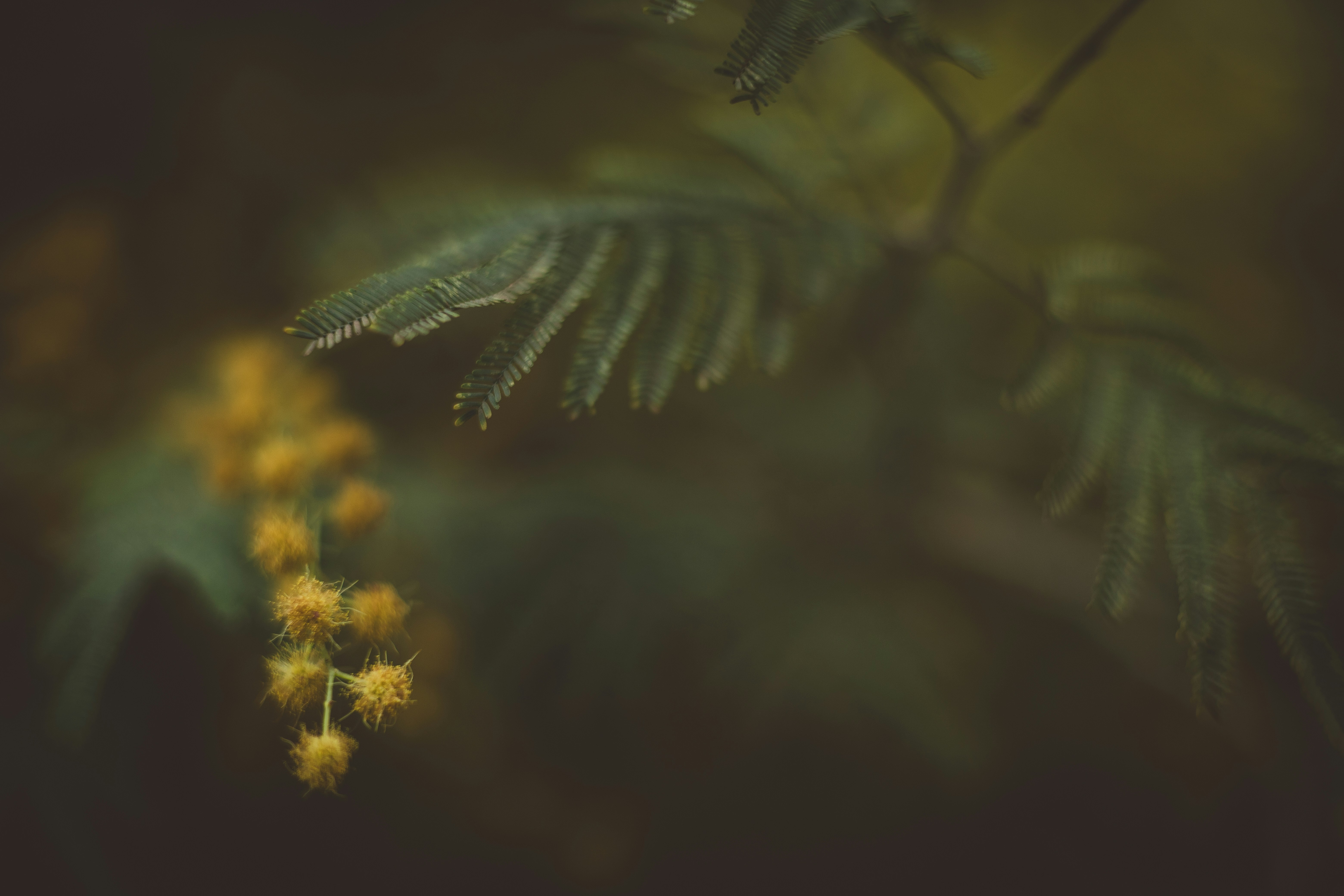 Photo by rrodriguesim