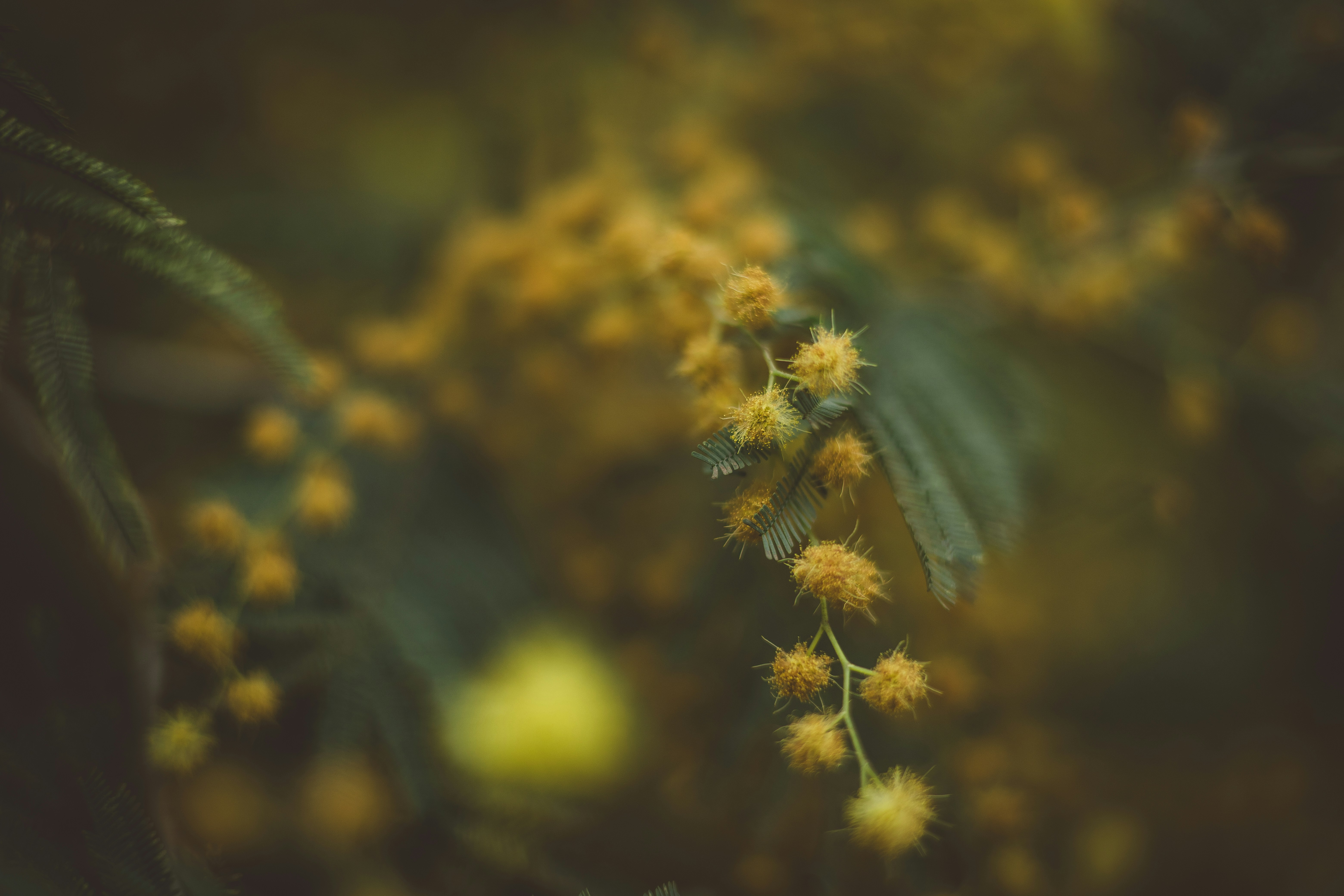 Photo by rrodriguesim