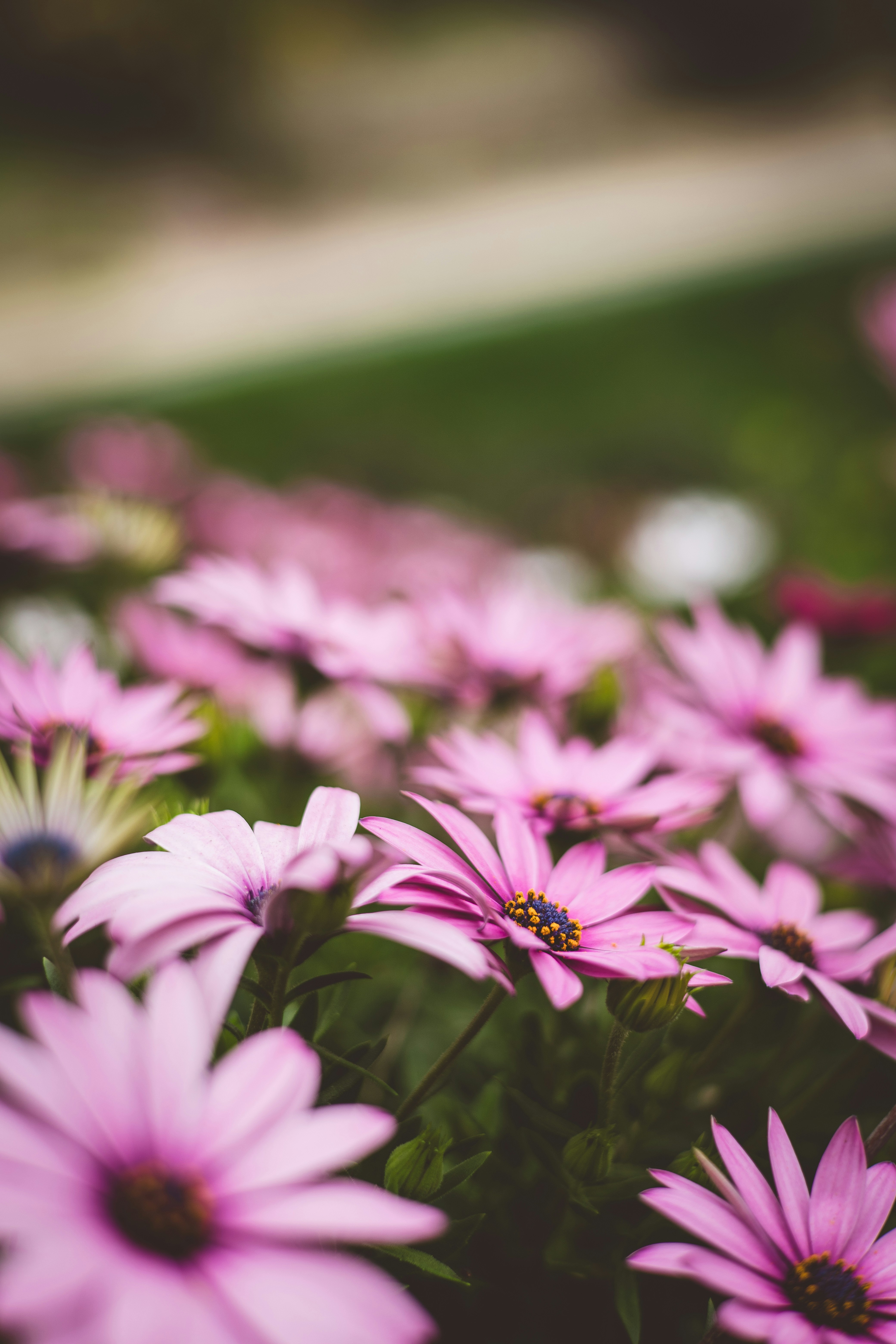 Photo by rrodriguesim