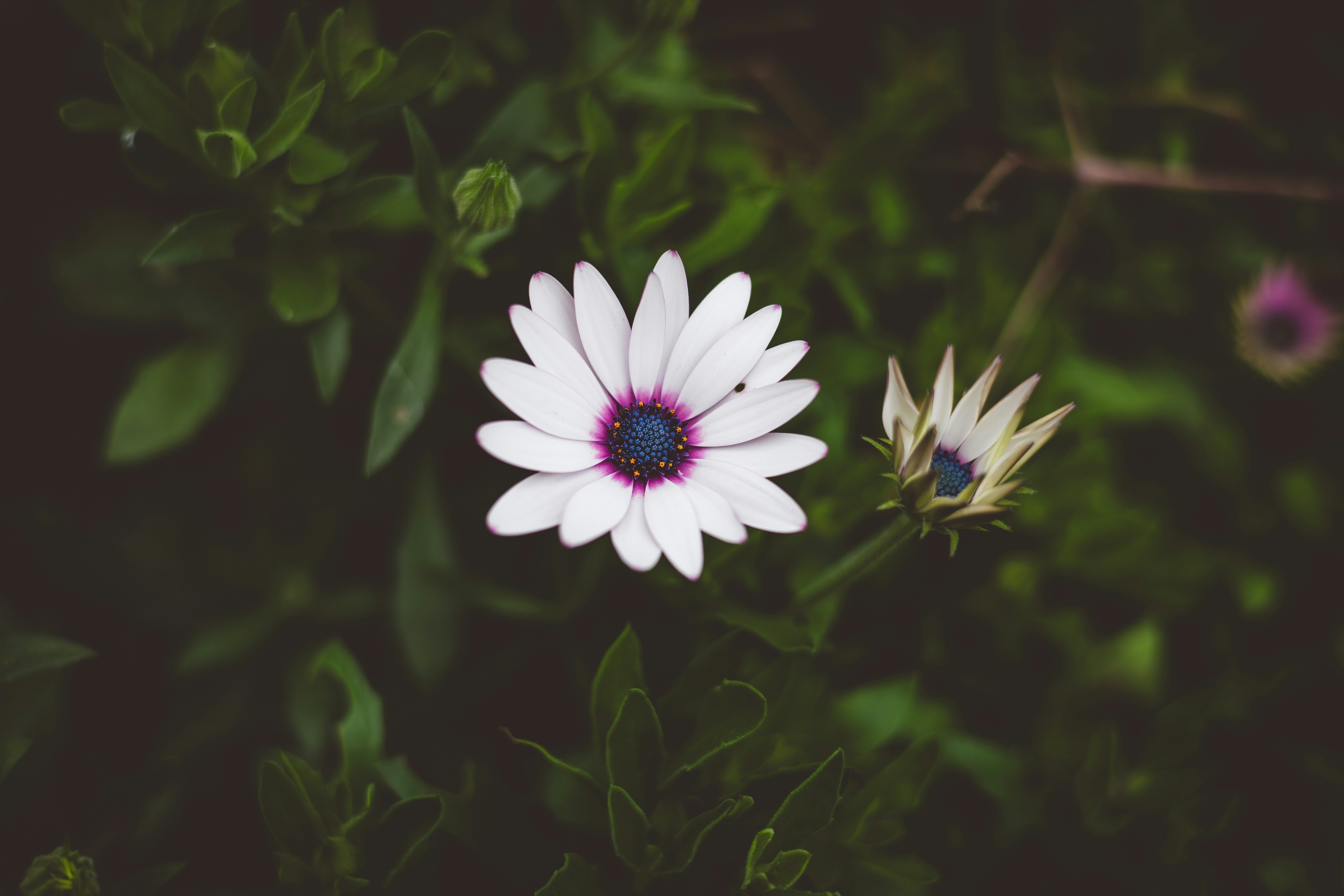 Photo by rrodriguesim