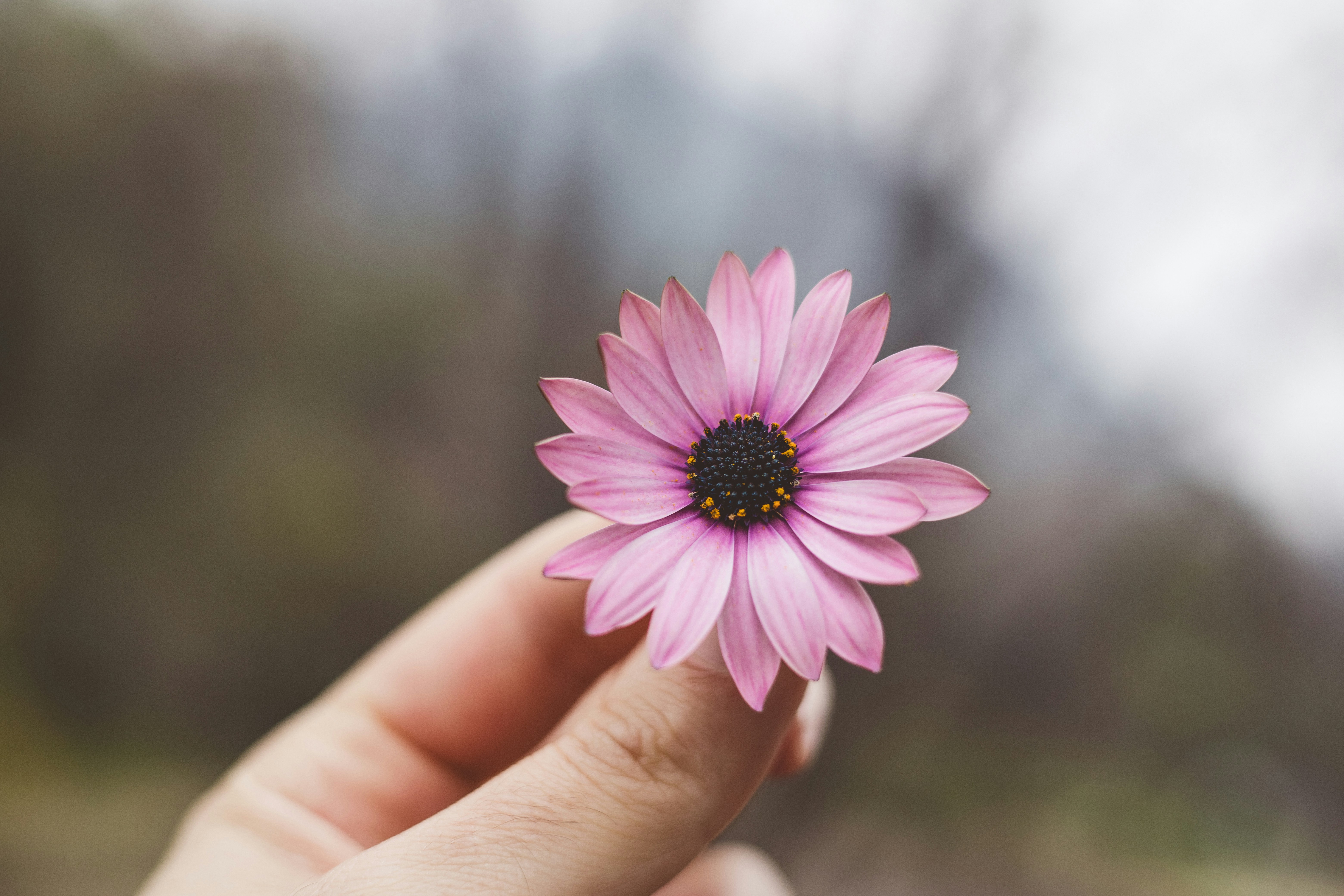 A gratidão pela vida durante e após o câncer