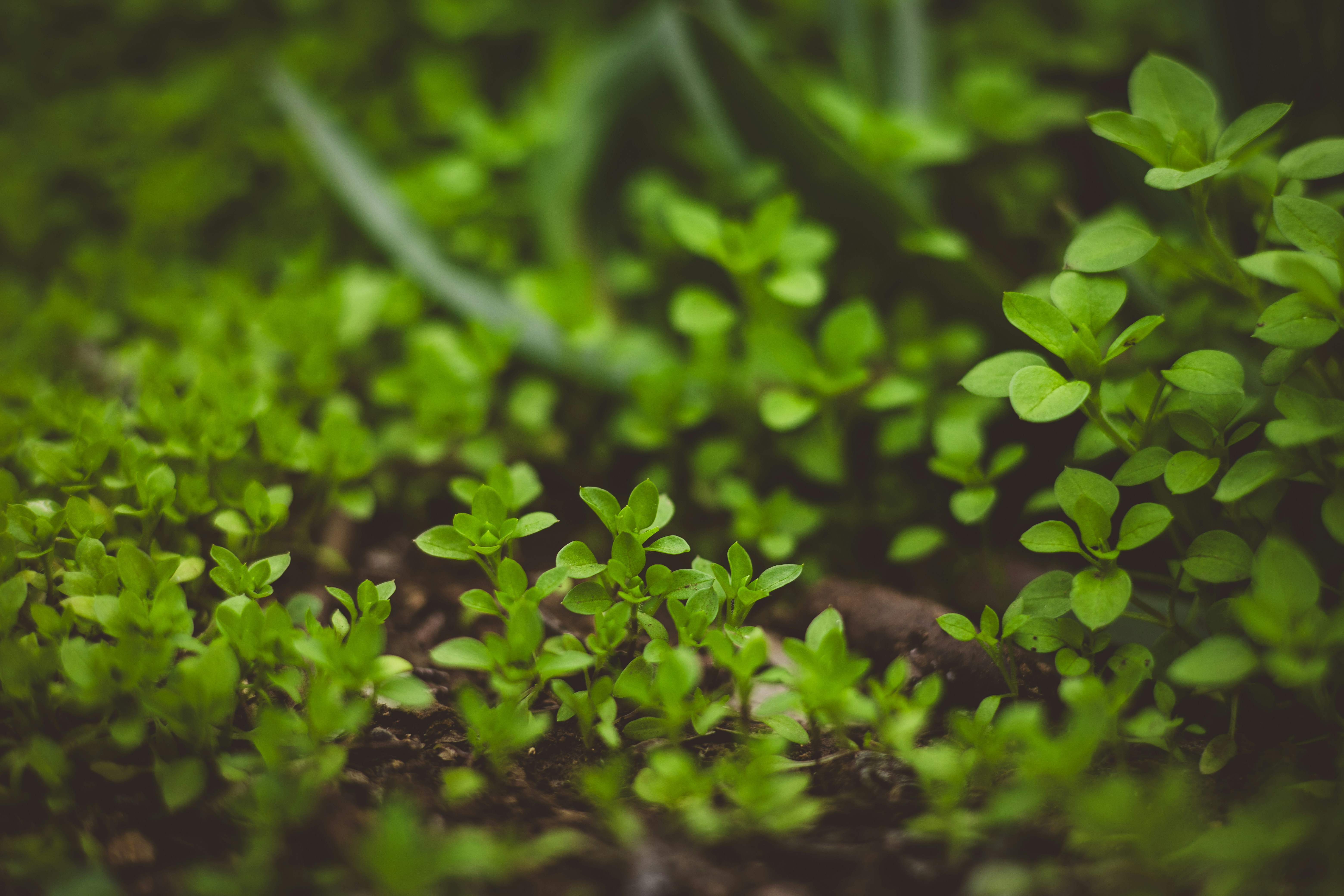 Photo by rrodriguesim