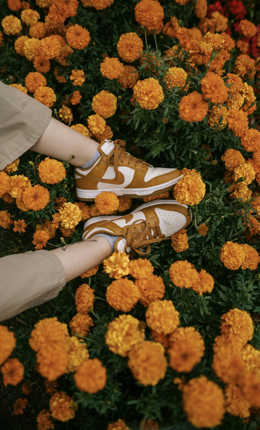 a person standing in a field of flowers