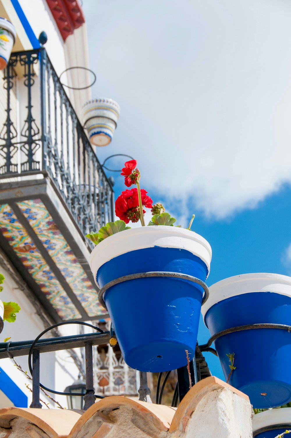 a blue and white planter with a red flower in it