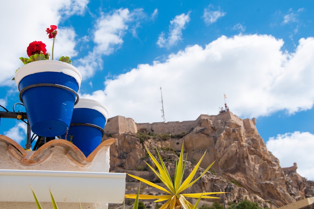 a blue and white flower pot sitting on top of a building