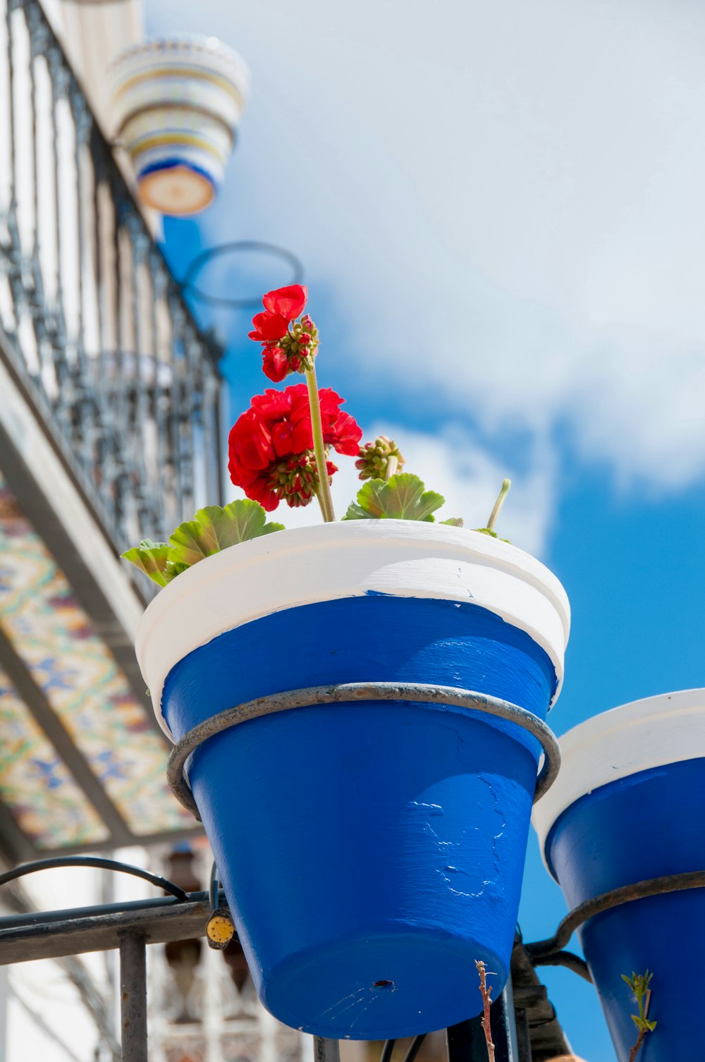 a blue and white planter with a red flower in it