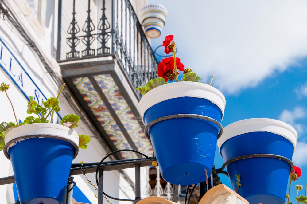 a group of blue and white flower pots on a building