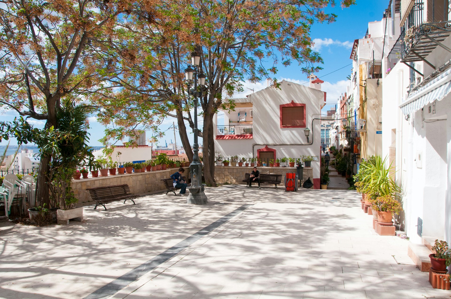 a couple of people sitting on a bench under a tree