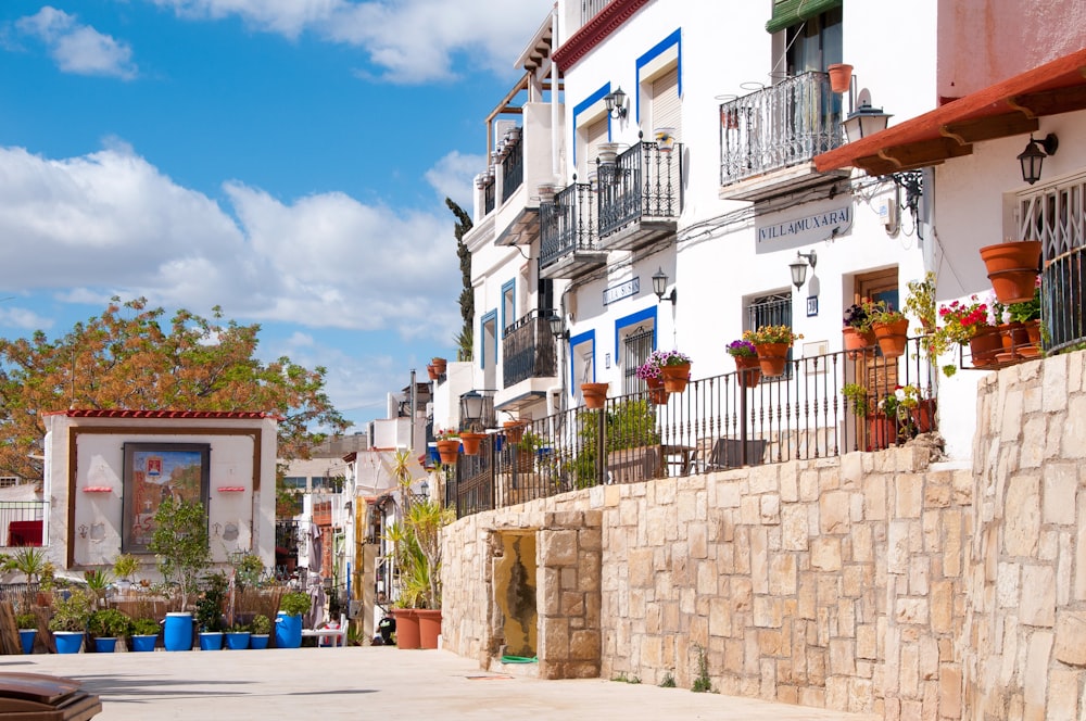 a street with a bunch of potted plants on the side of it