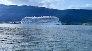 A large white cruise ship sails on calm waters near a mountainous landscape. The ship has multiple decks and distinctive blue wave patterns on its sides. The surrounding scenery includes lush green hills and a partly cloudy sky.