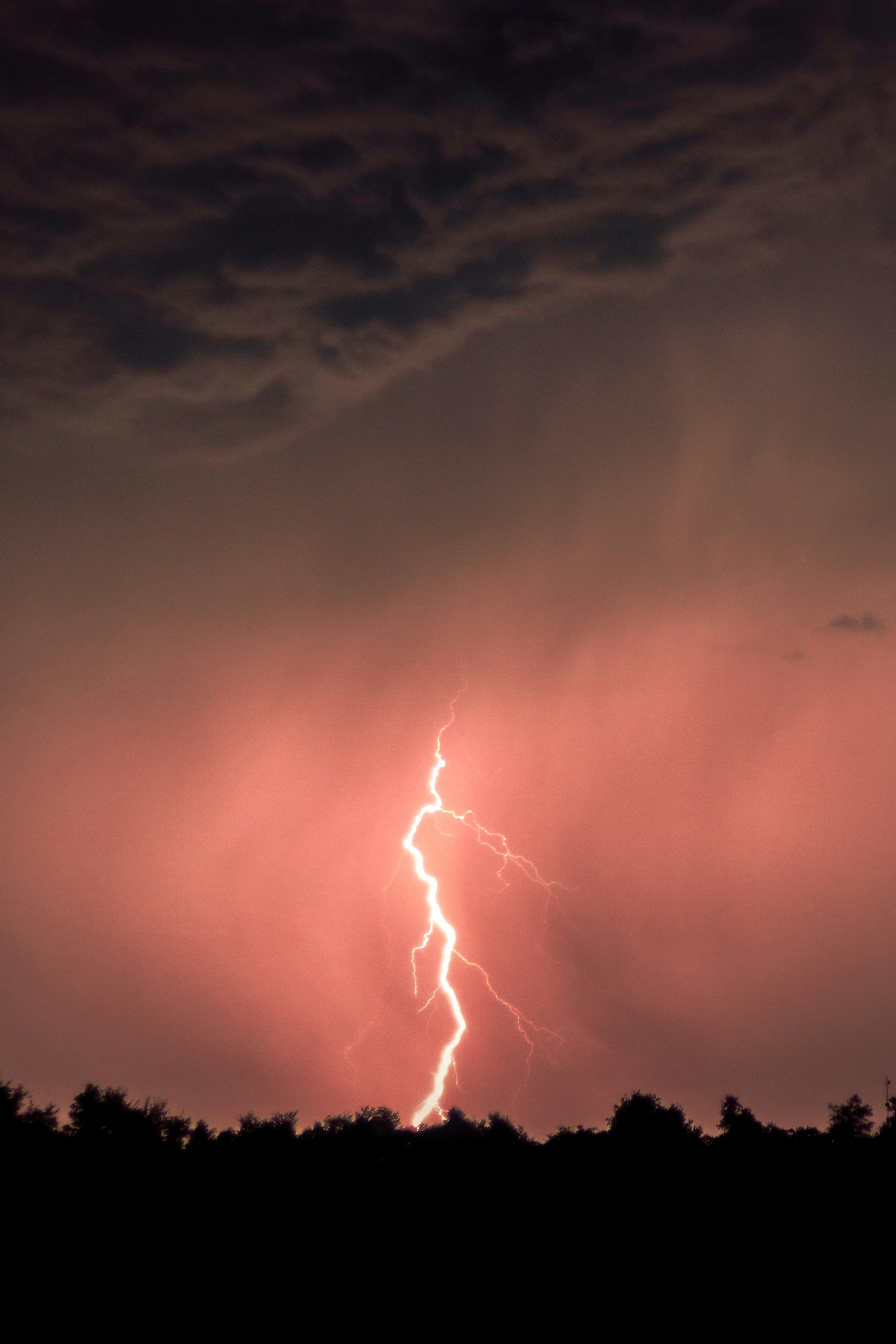 Photo by ezekiel_see