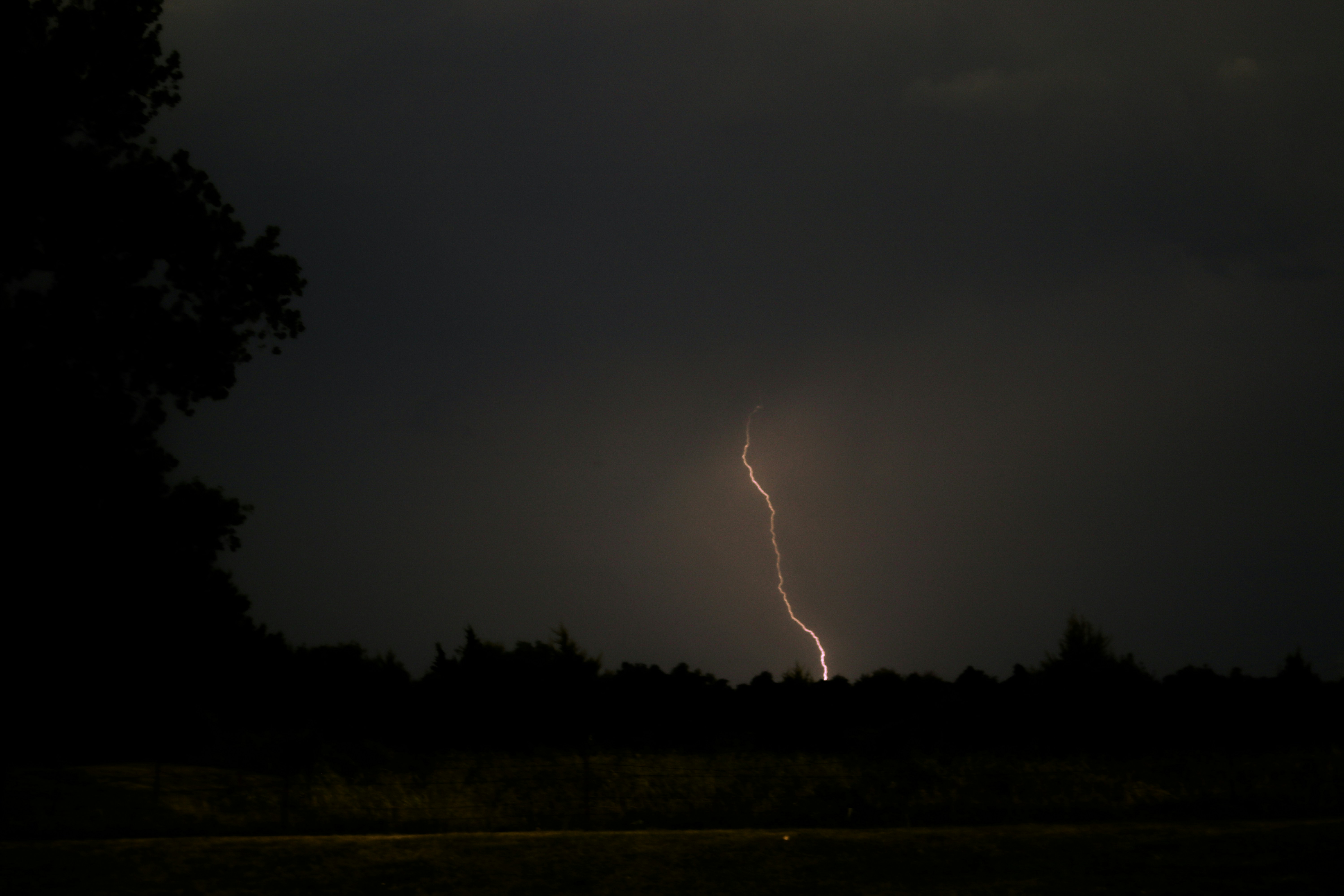 Photo by ezekiel_see