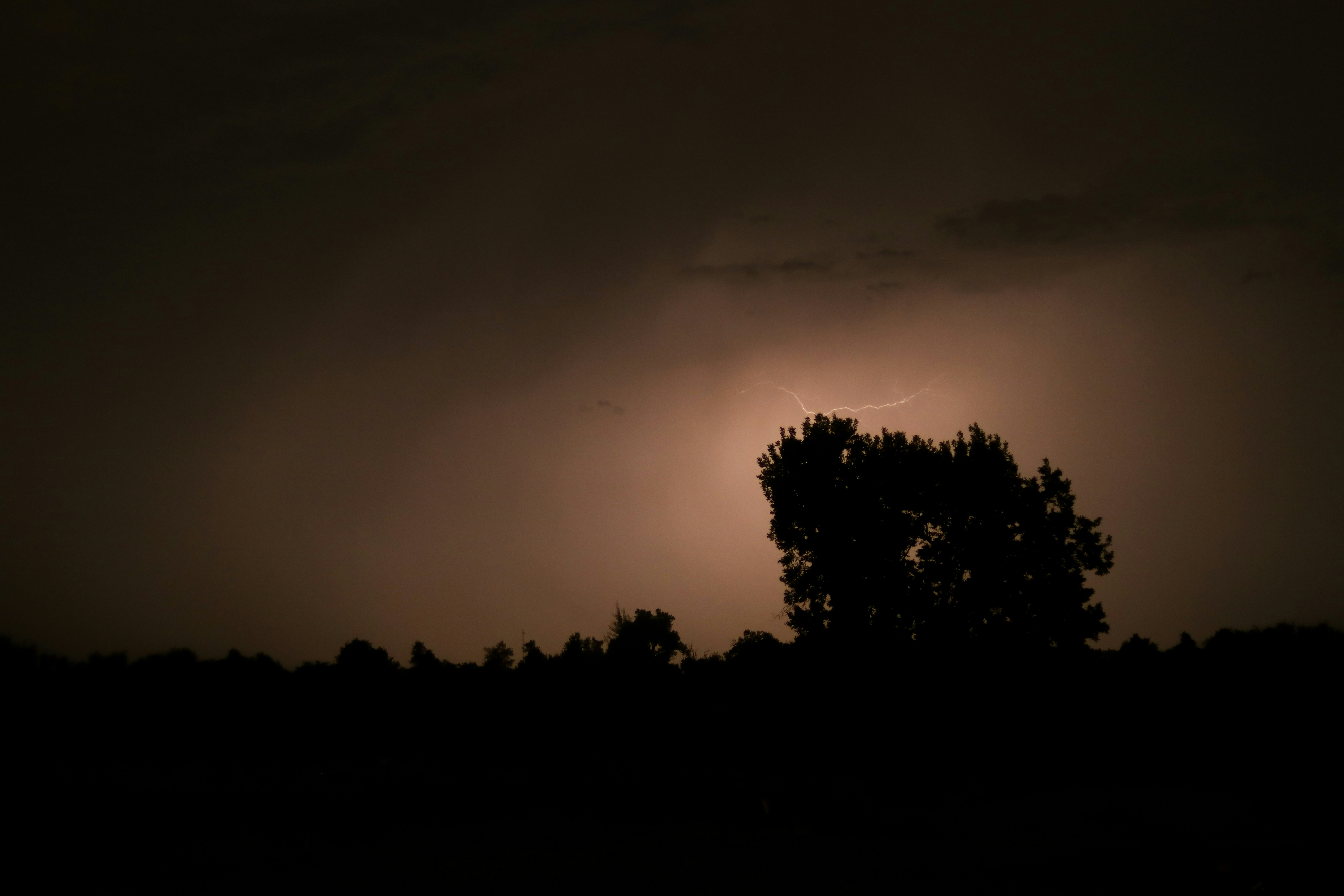 Photo by ezekiel_see