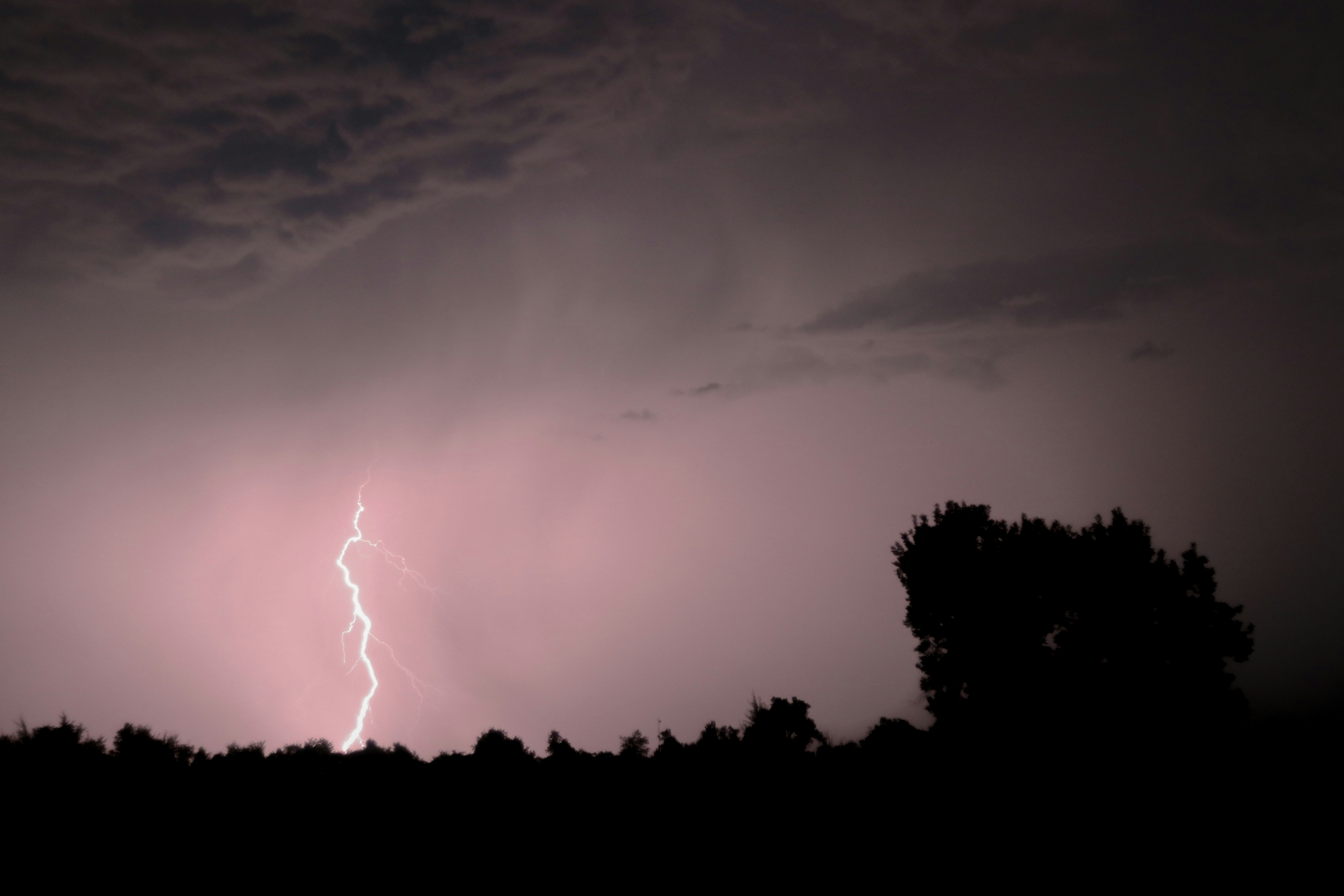 Photo by ezekiel_see