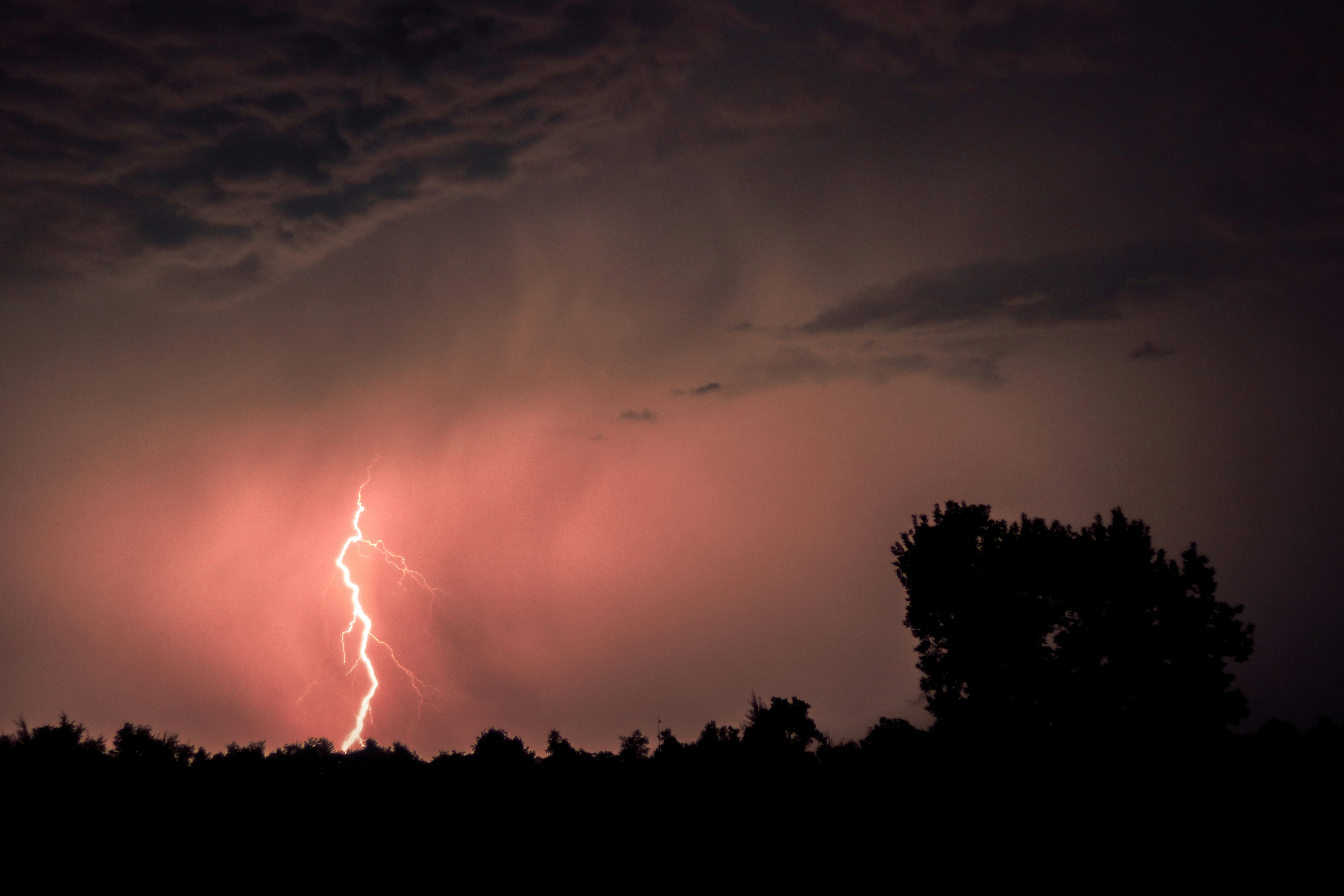 Photo by ezekiel_see