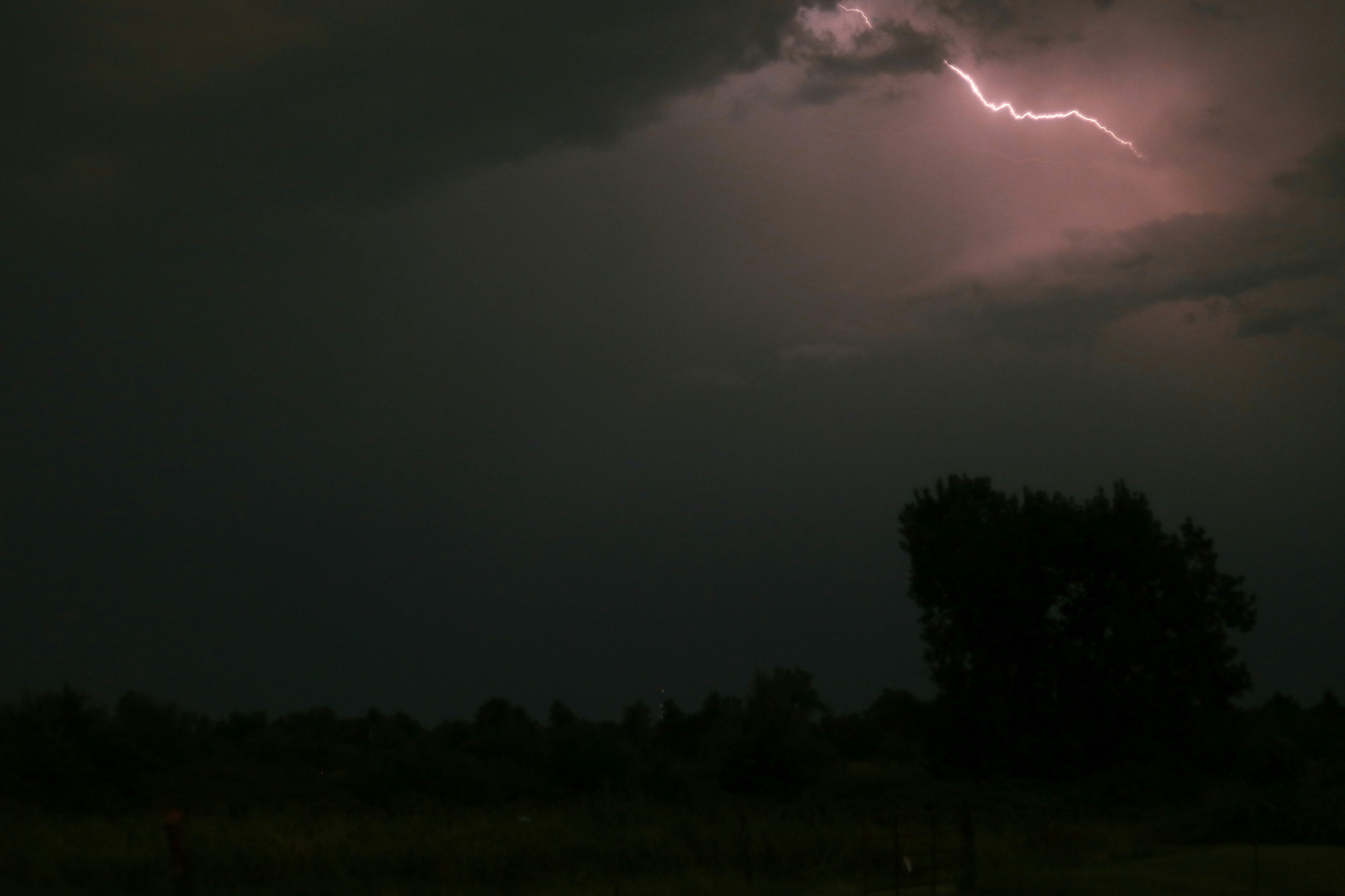 Photo by ezekiel_see