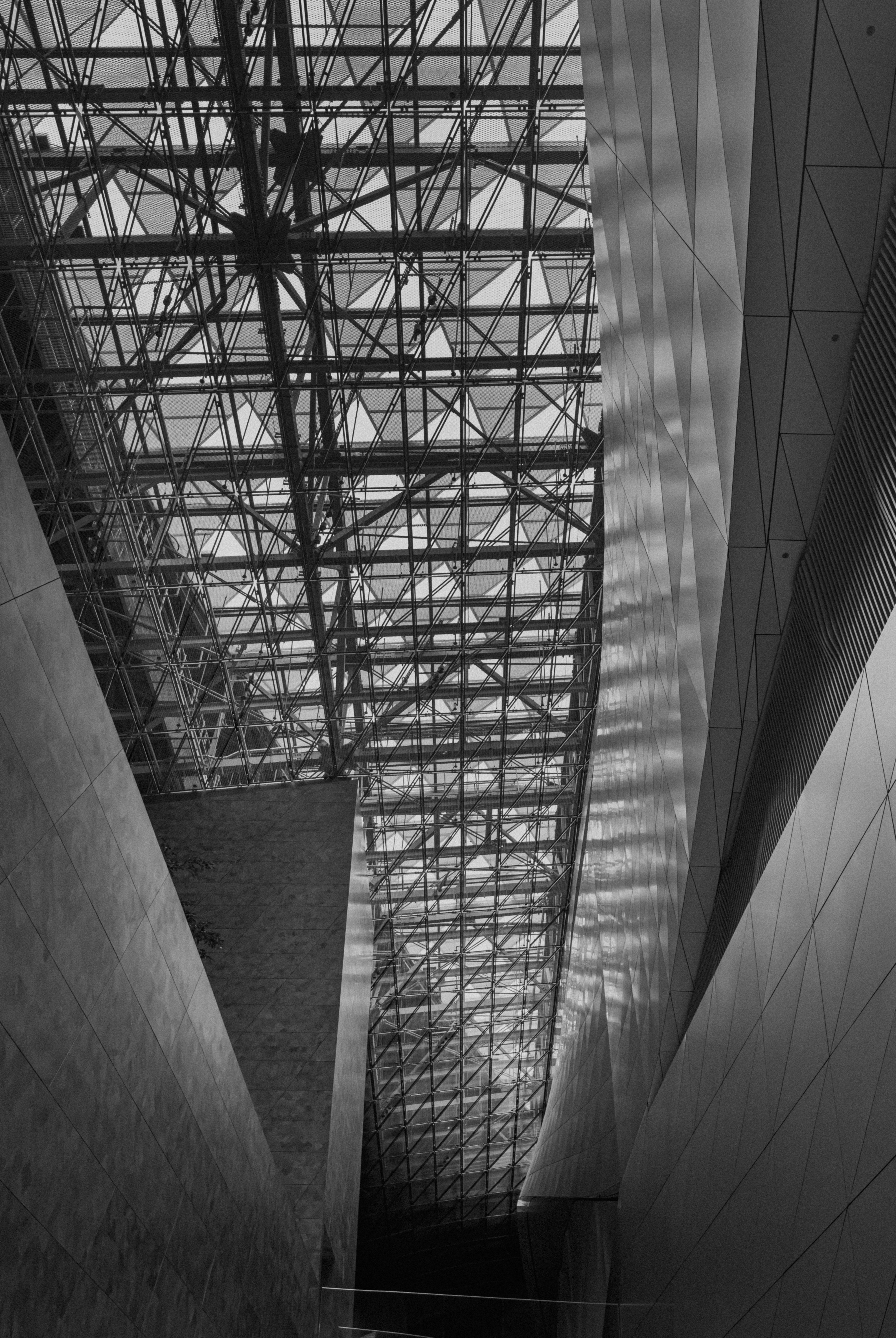 Photo by ragnarbeaverson