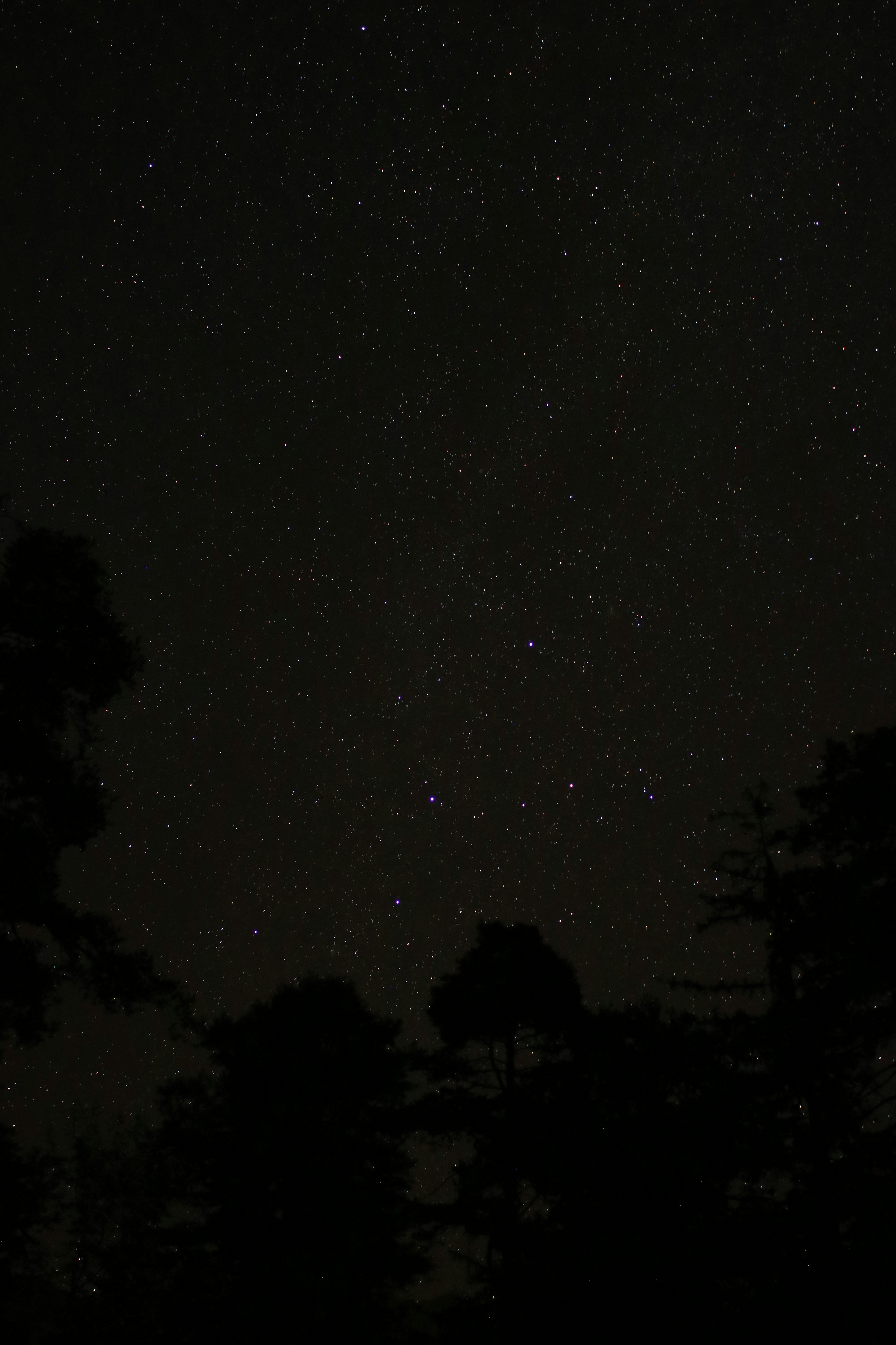 Photo by lucatrassini