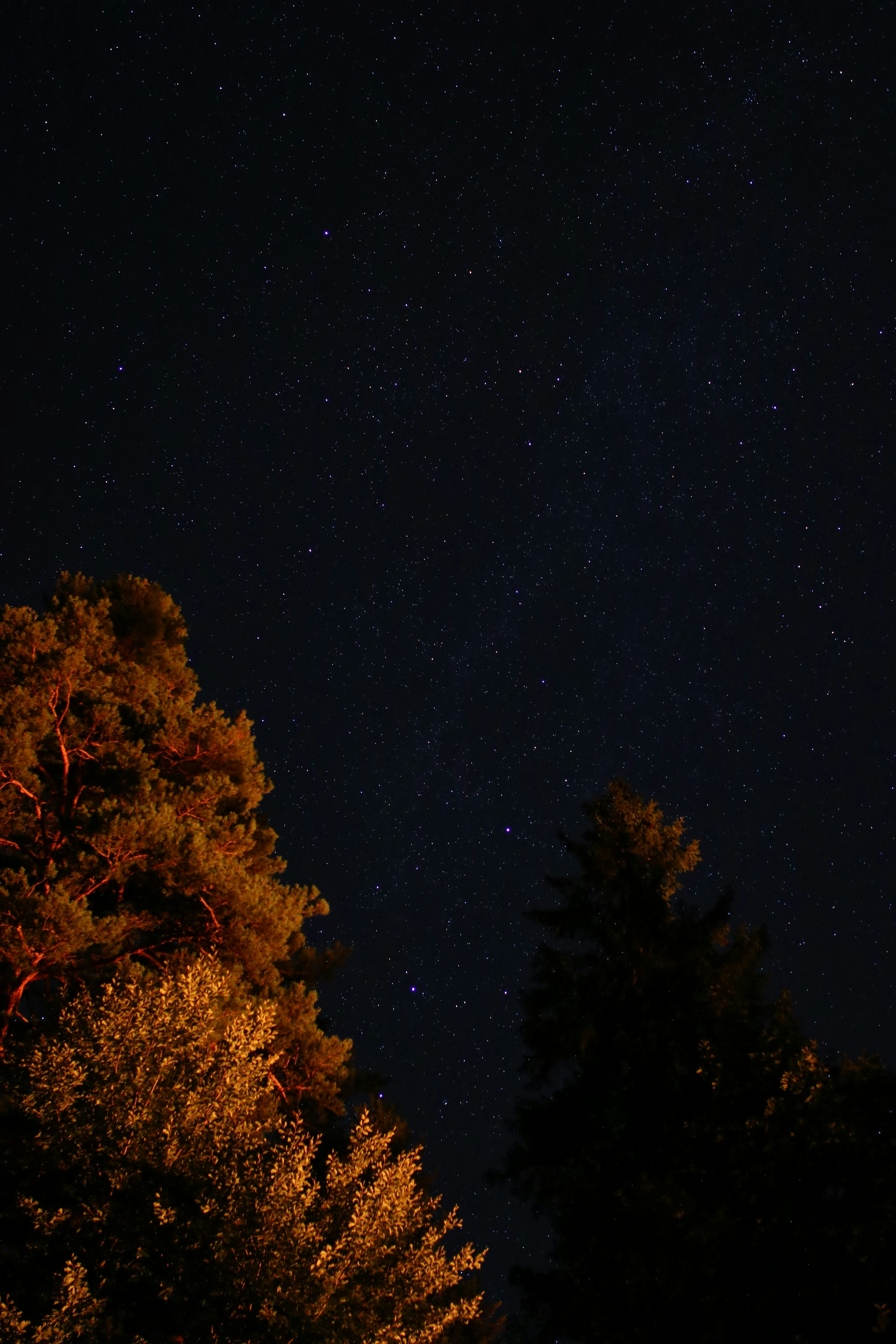 Photo by lucatrassini