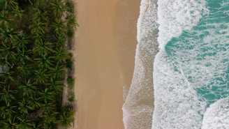 a bird's eye view of a beach and ocean