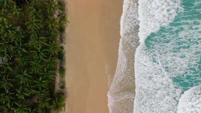 a bird's eye view of a beach and ocean