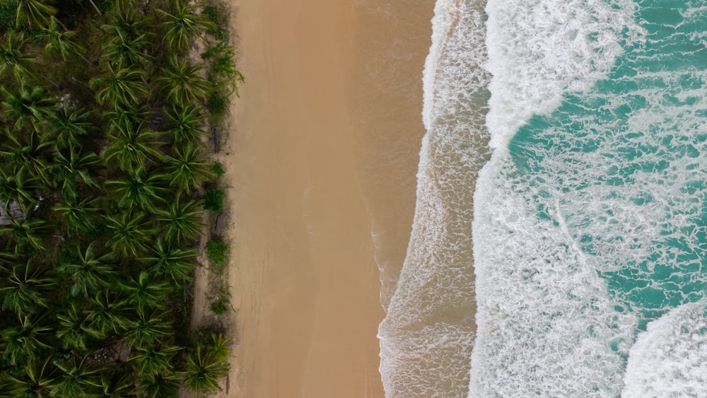 a bird's eye view of a beach and ocean