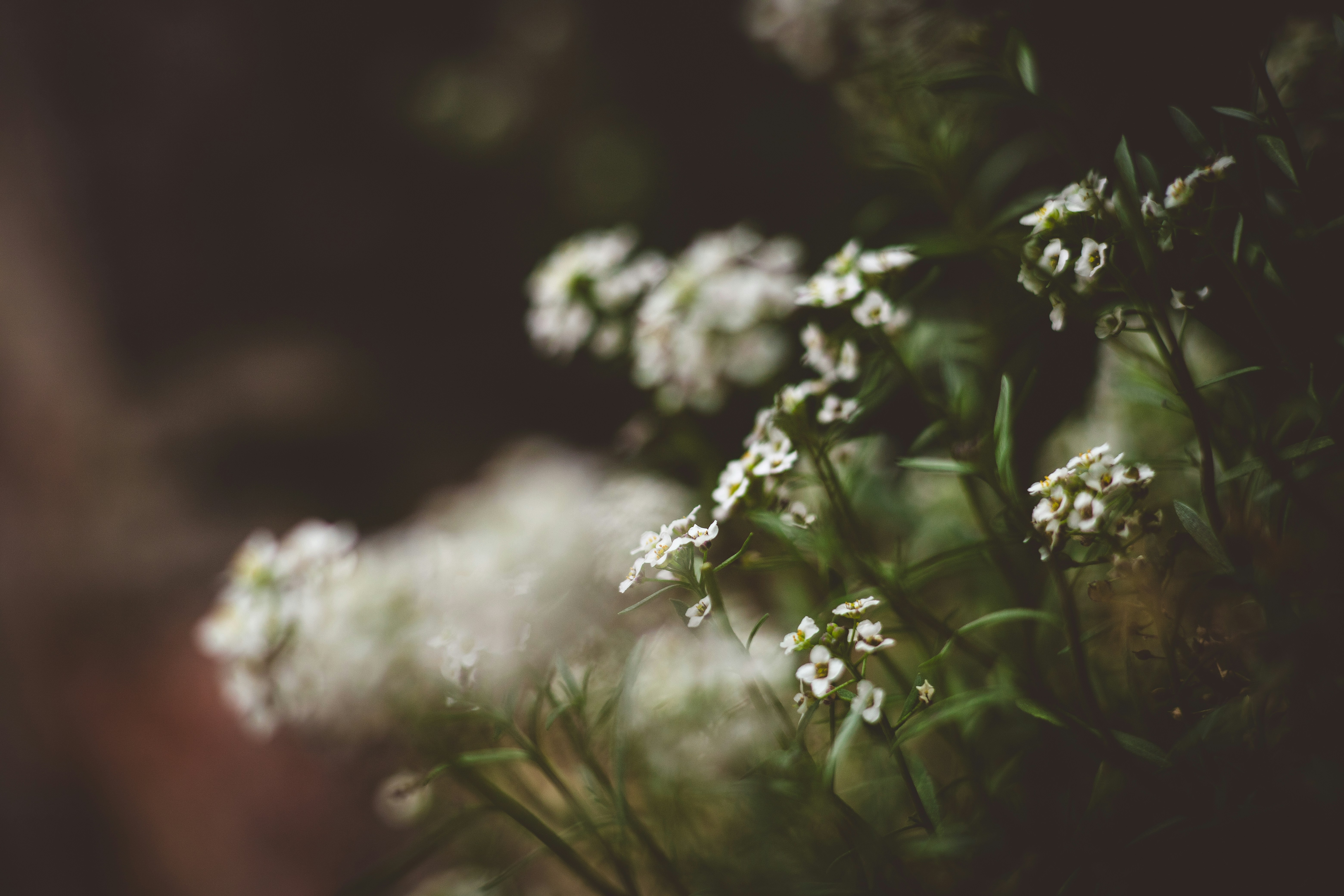 Photo by rrodriguesim