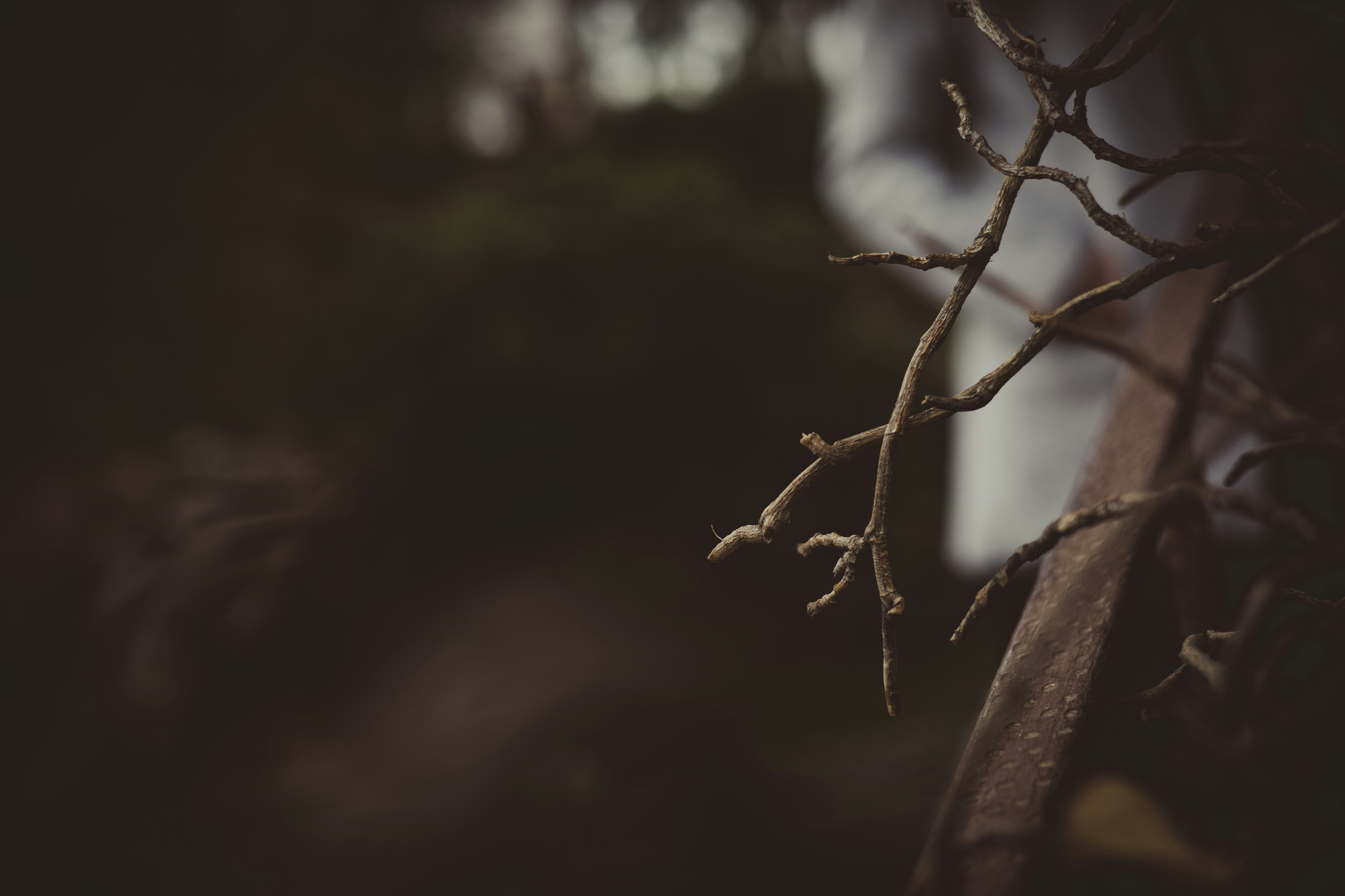 Photo by rrodriguesim