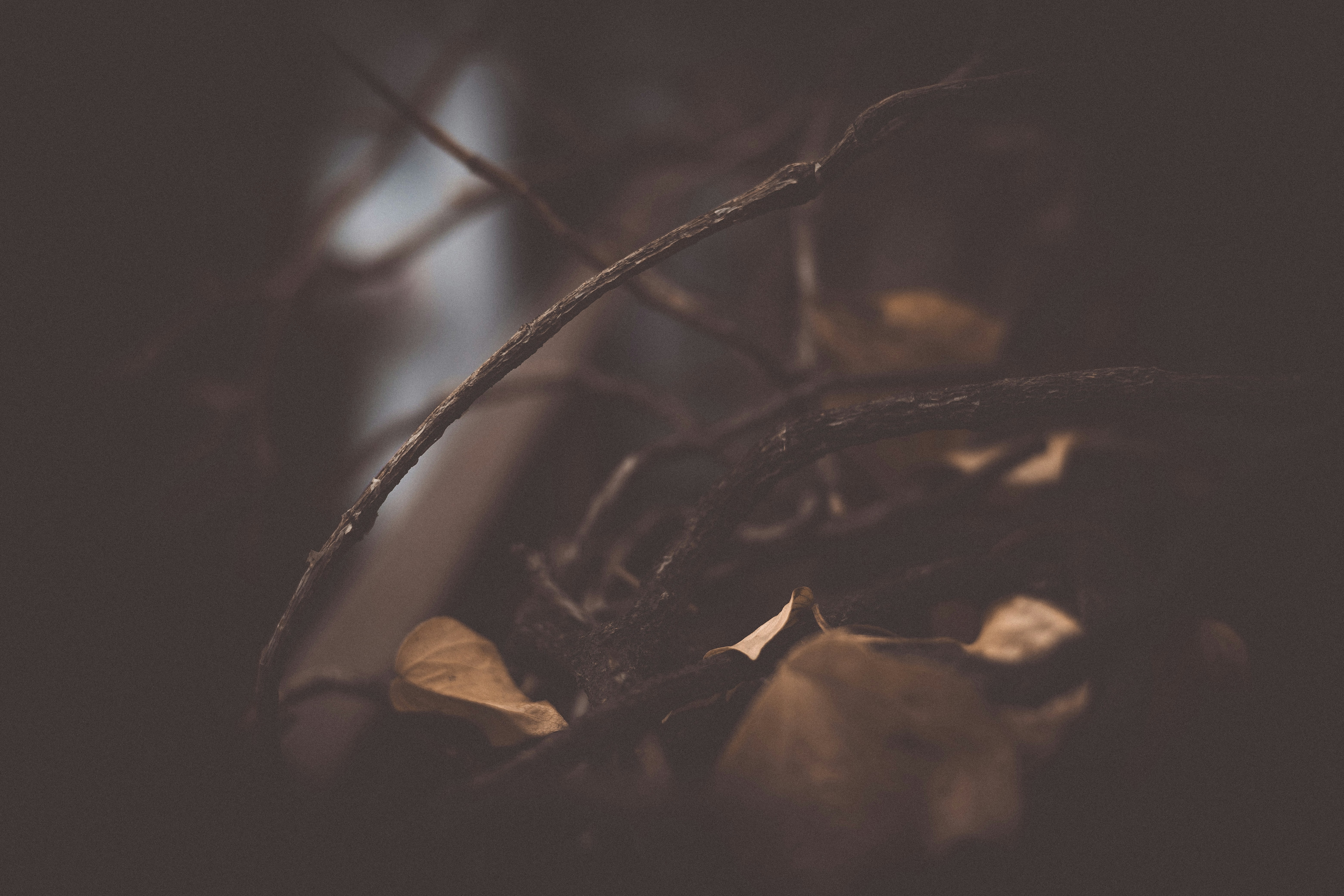 Photo by rrodriguesim