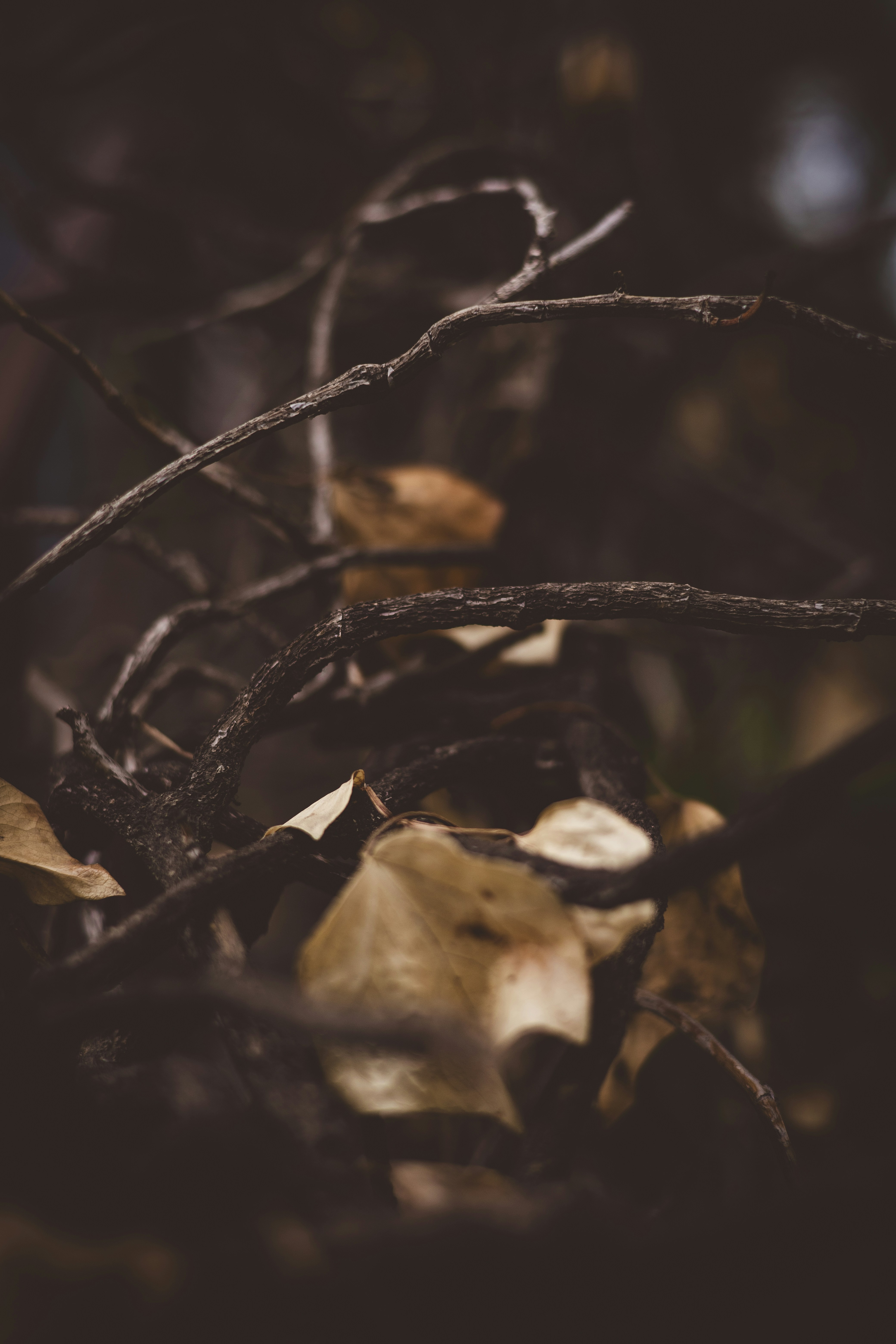 Photo by rrodriguesim