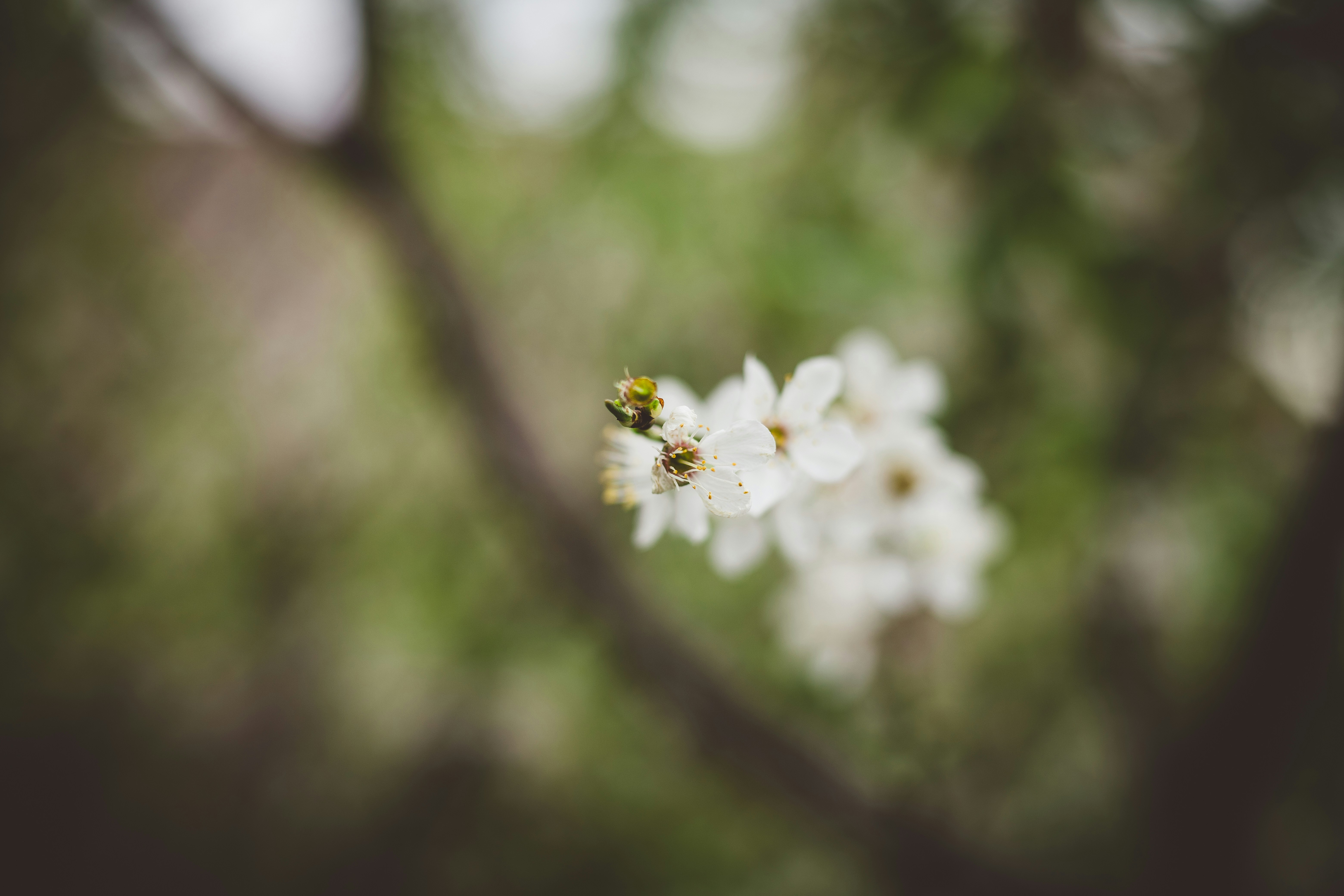 Photo by rrodriguesim