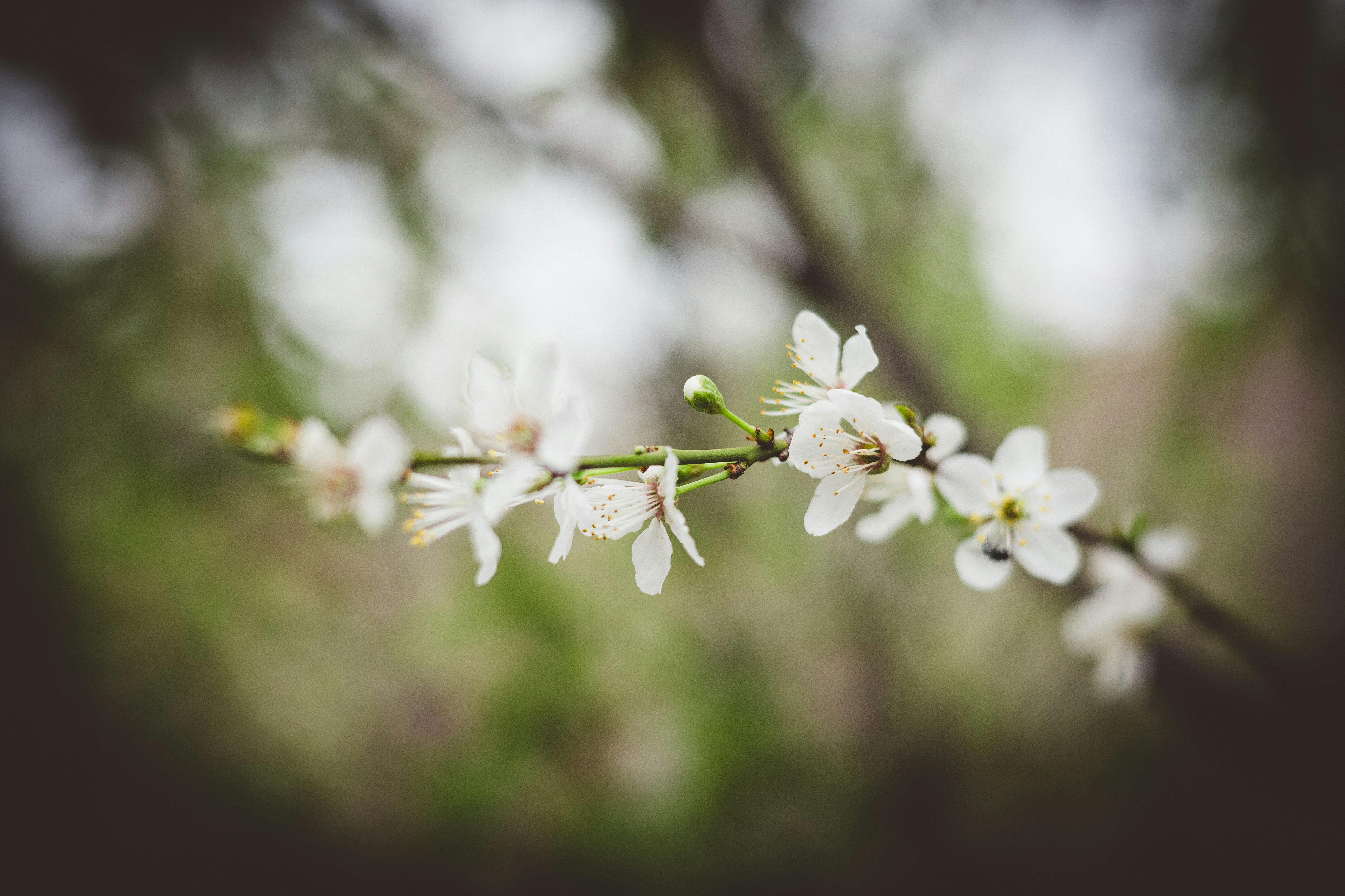 Photo by rrodriguesim