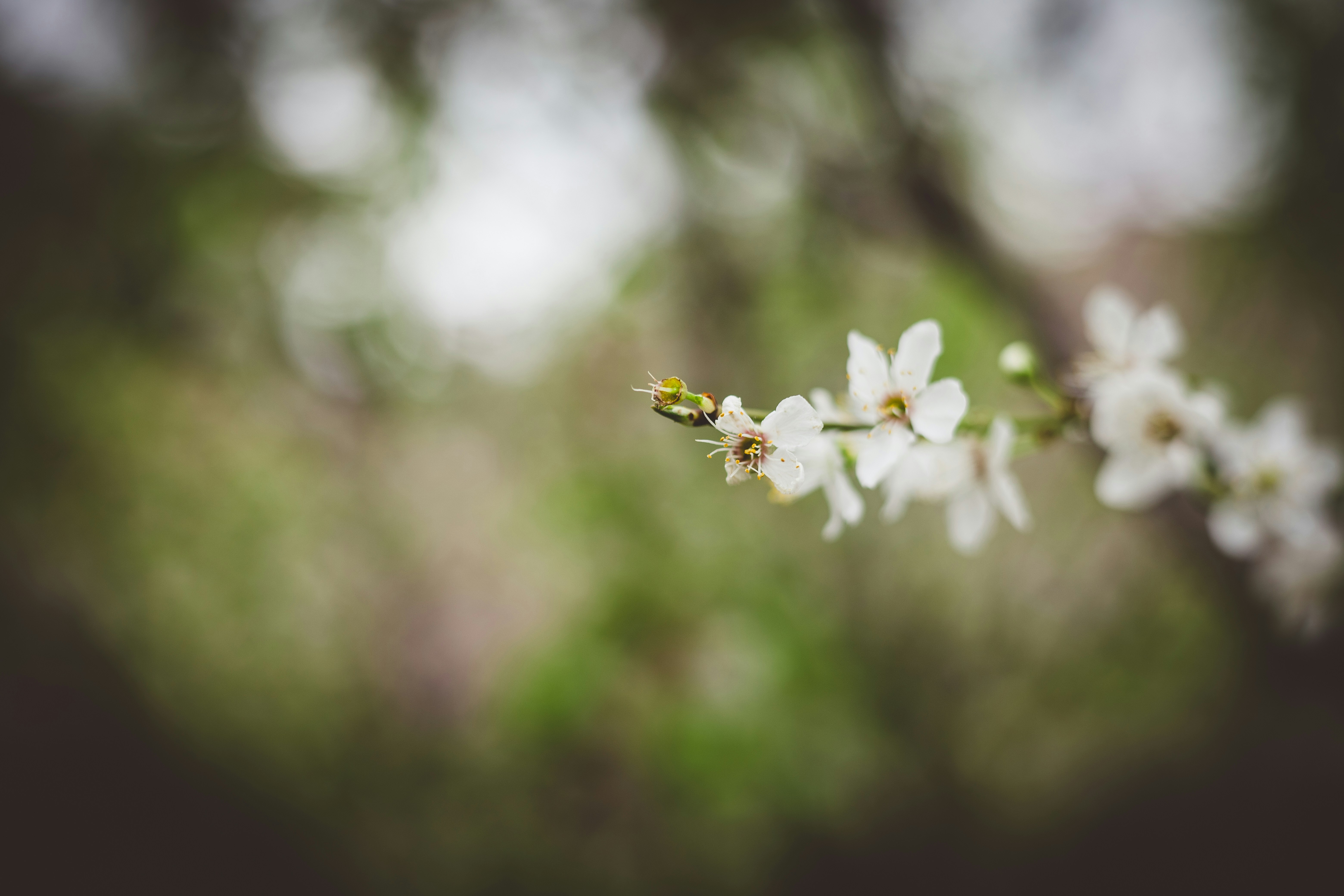 Photo by rrodriguesim