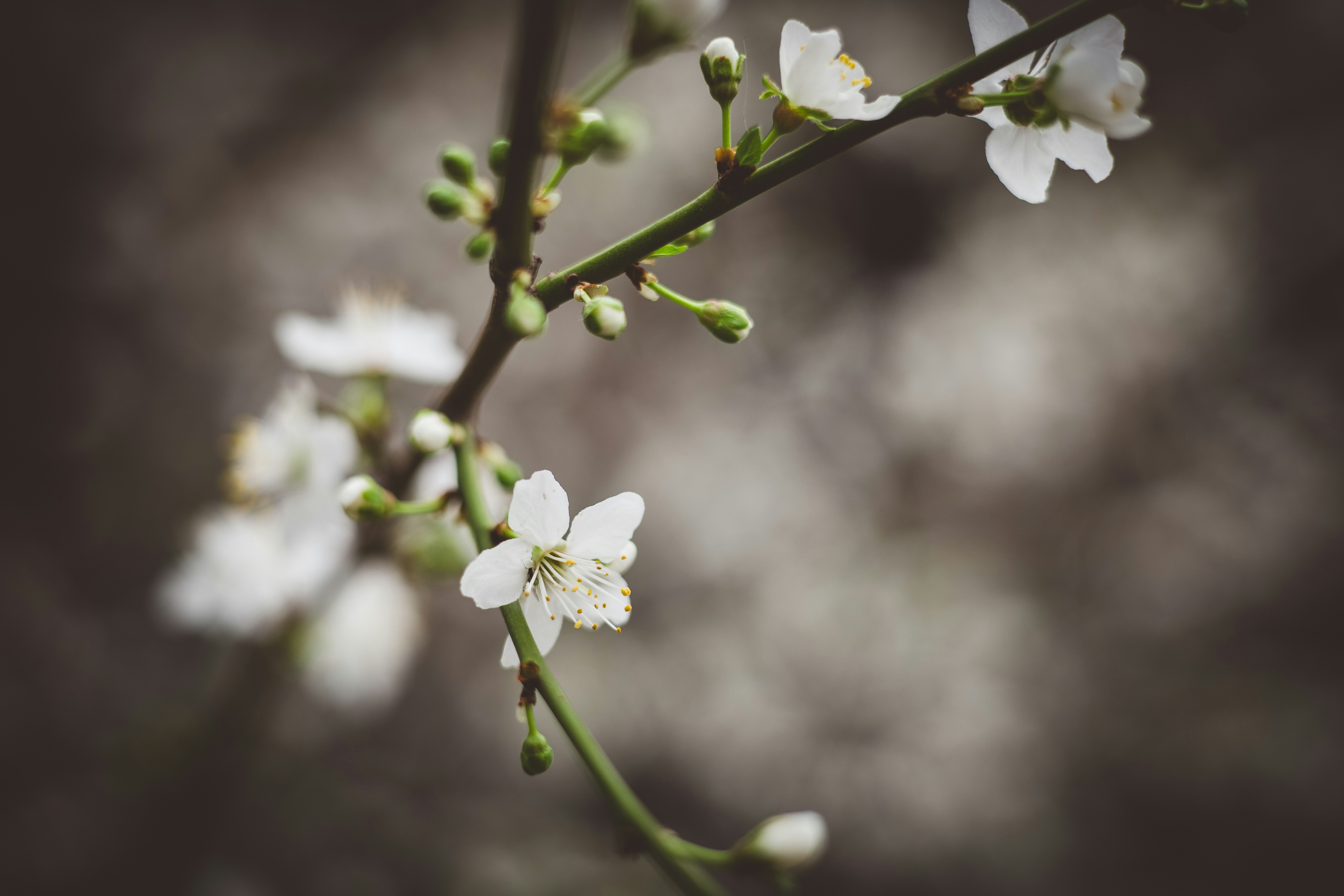 Photo by rrodriguesim