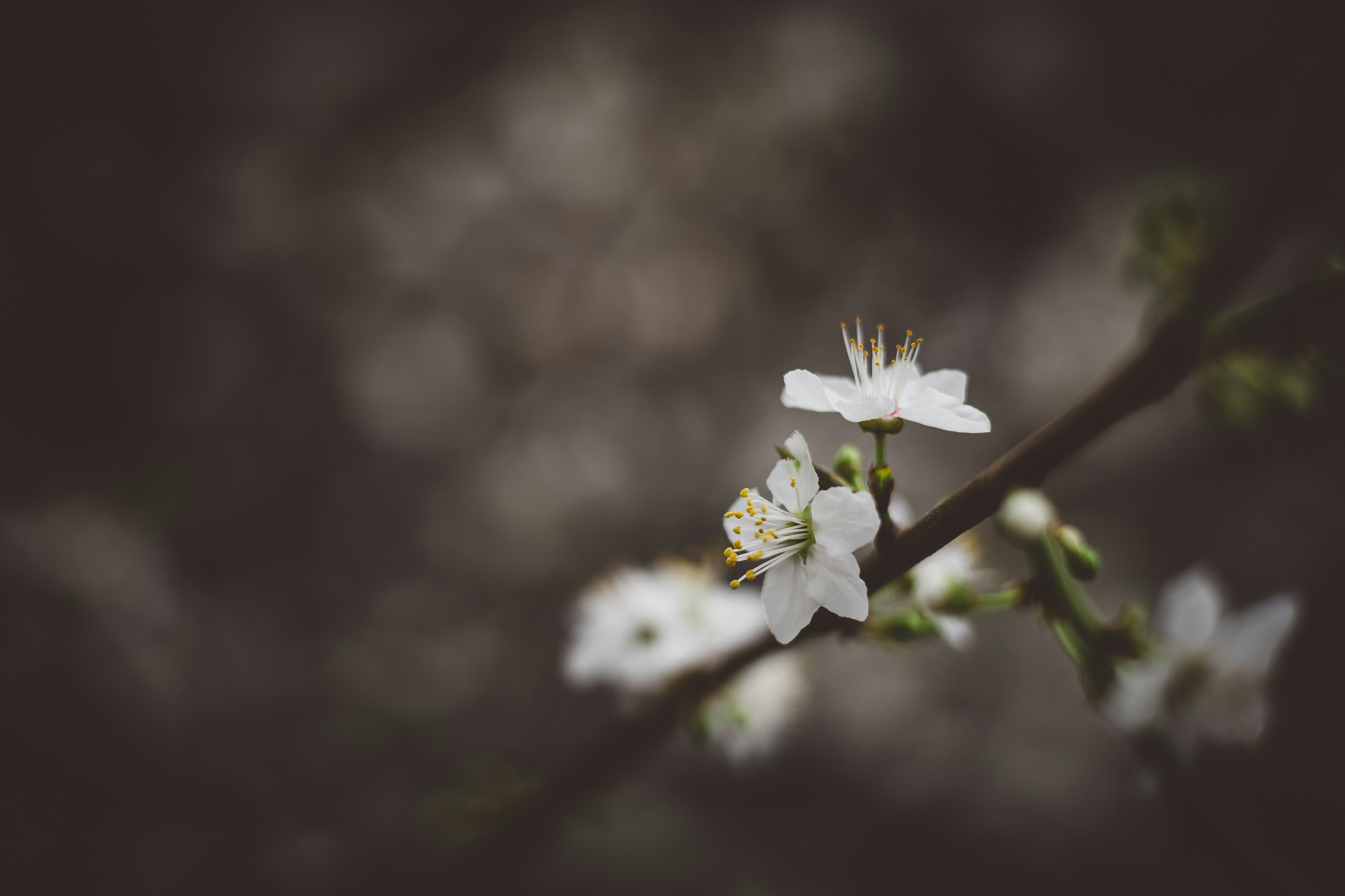 Photo by rrodriguesim