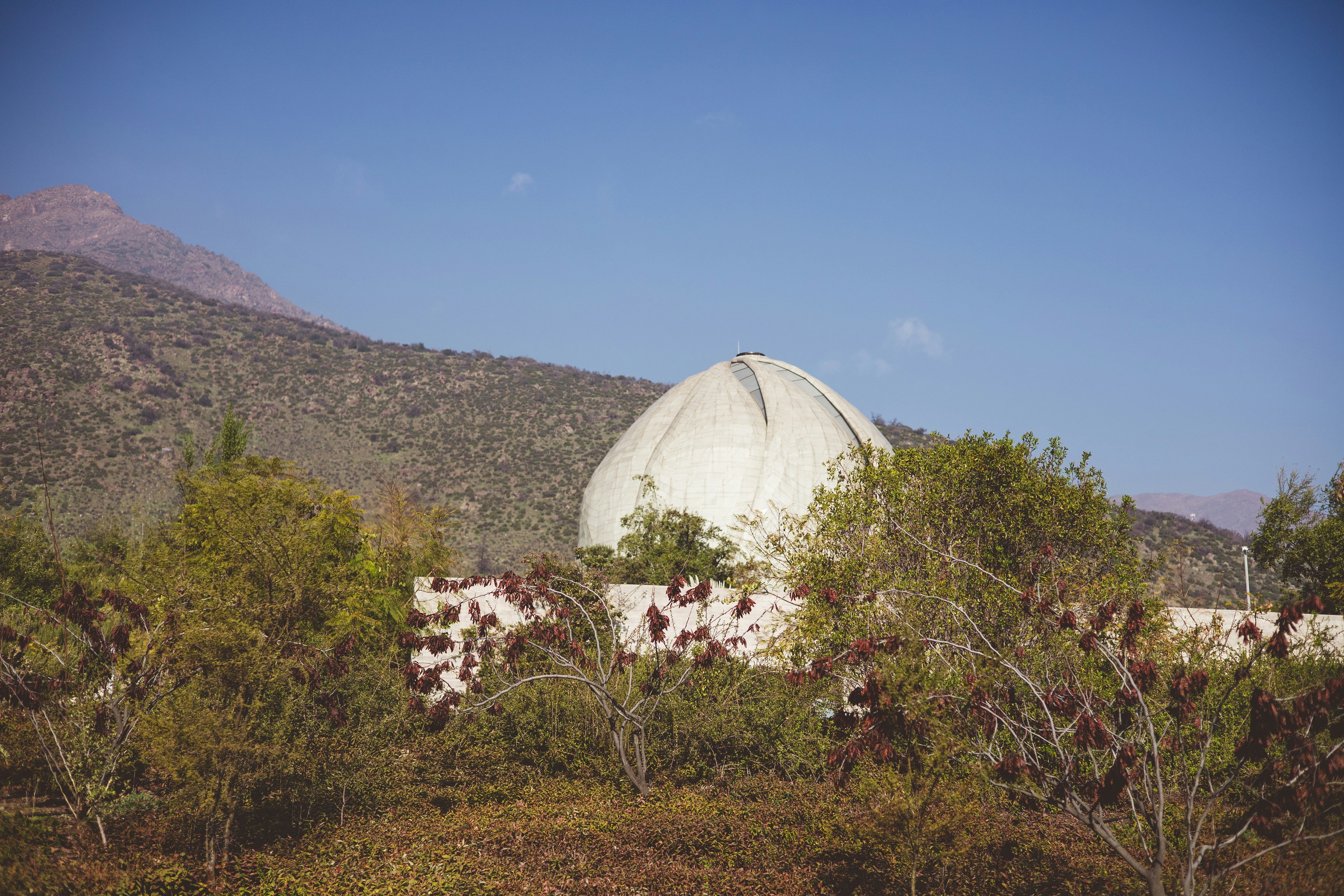 a large white dome sitting in the middle of a forest