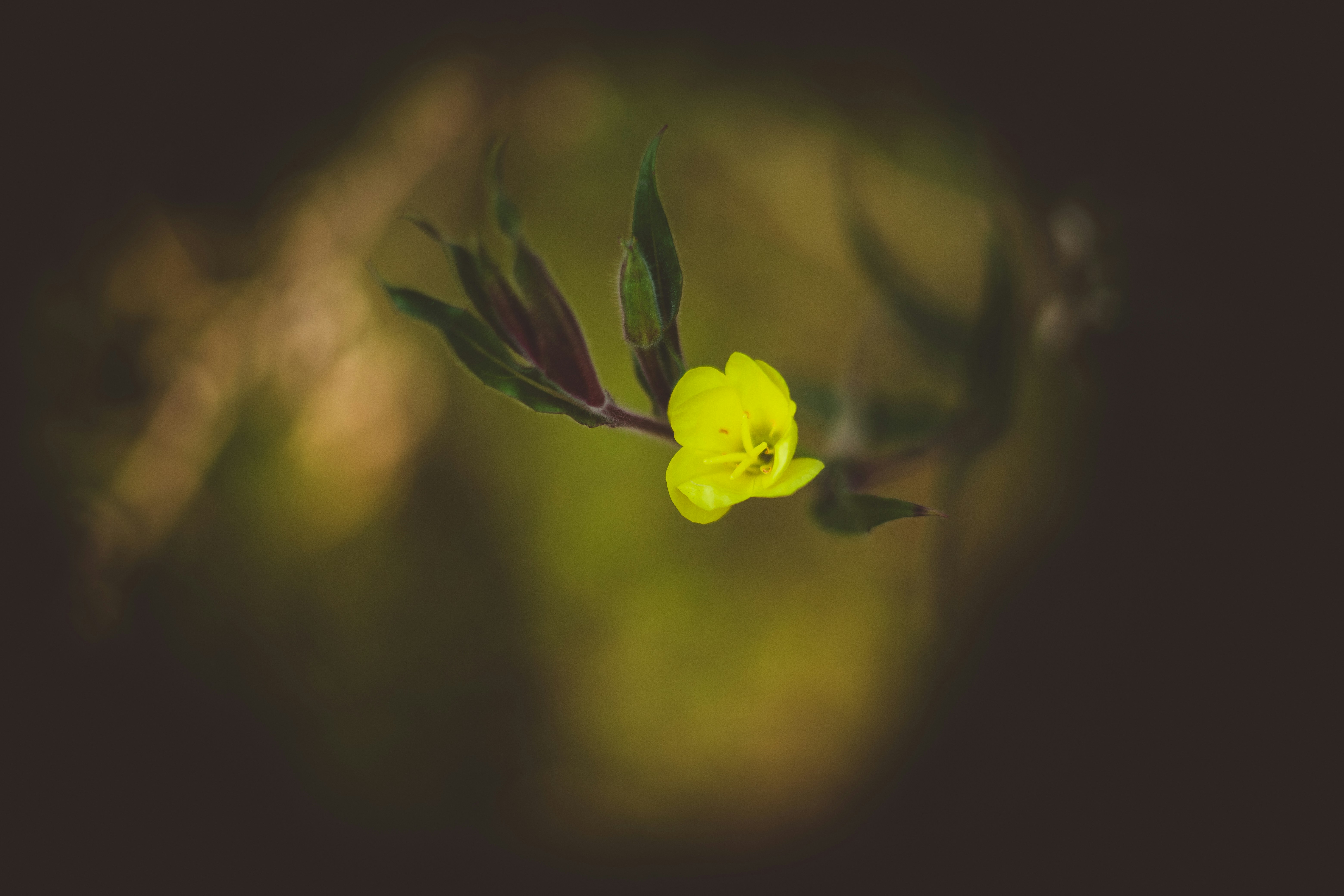 Photo by rrodriguesim